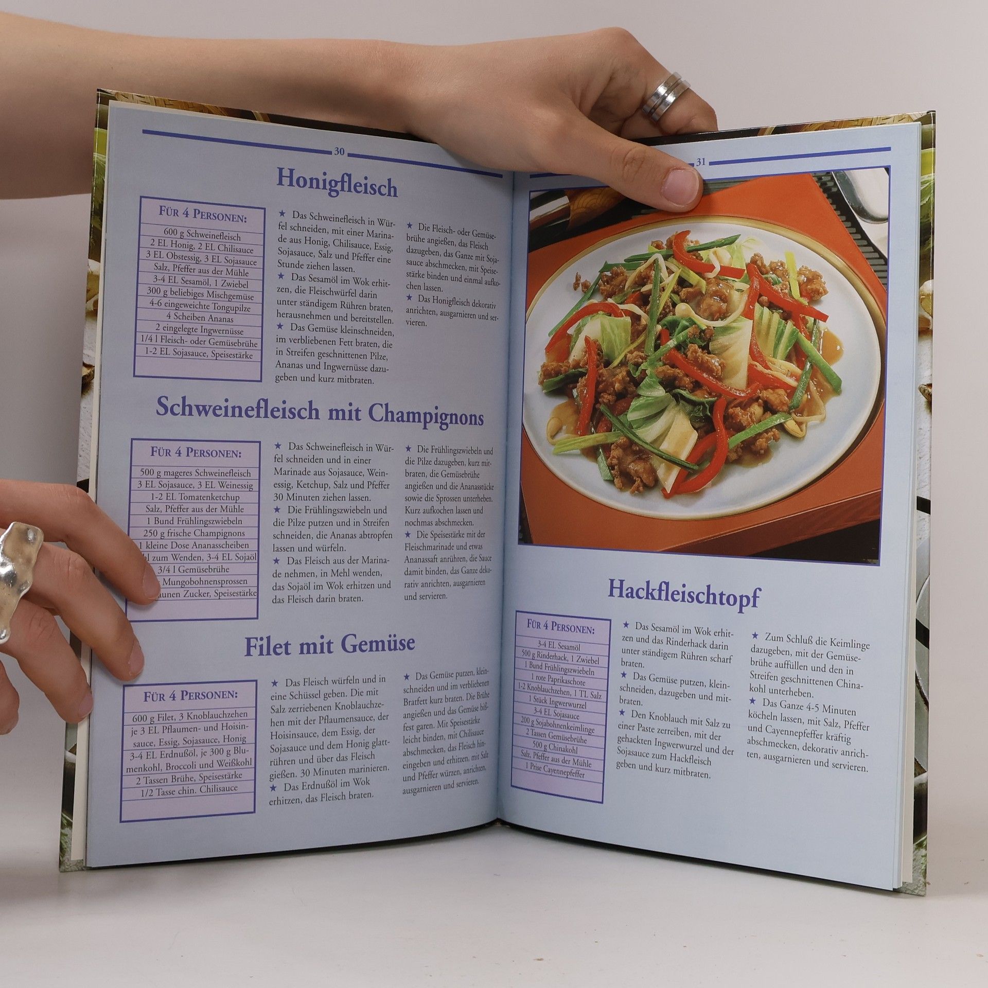 Autorenkollektiv 100 Rezepte kochen mit dem Wok