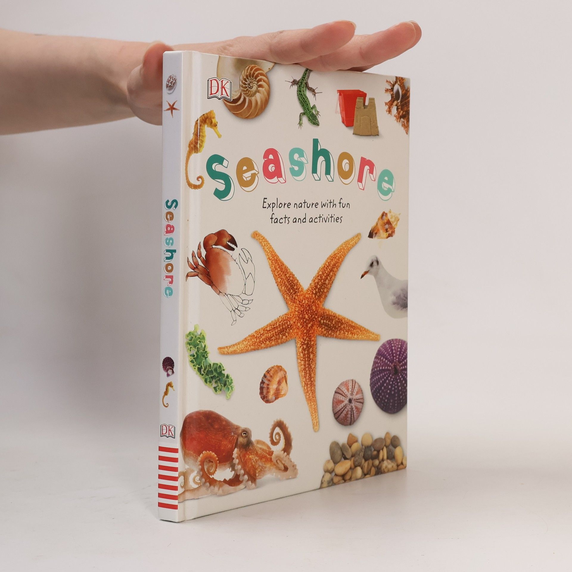 Autorenkollektiv Seashore