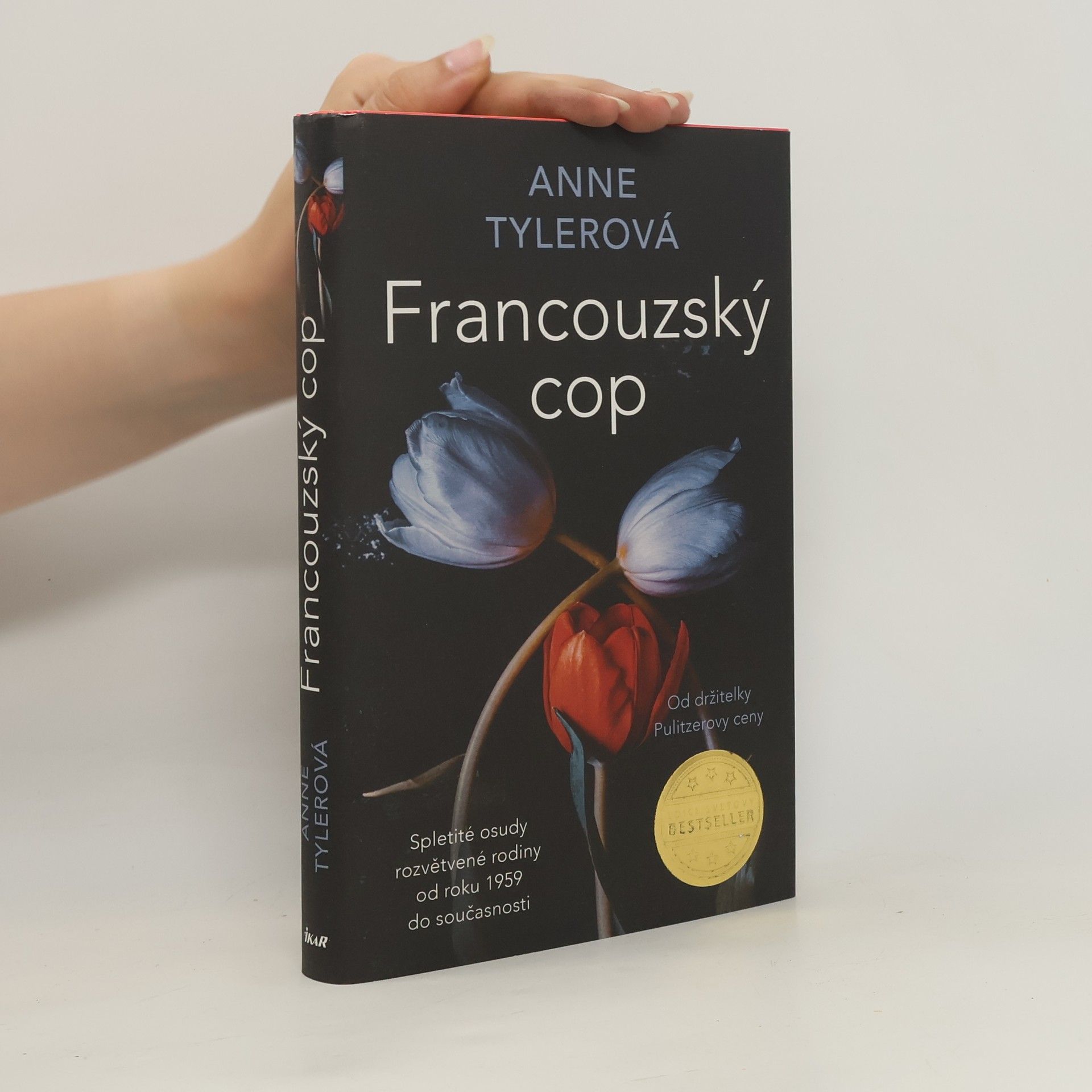 Anne Tyler Francouzský cop