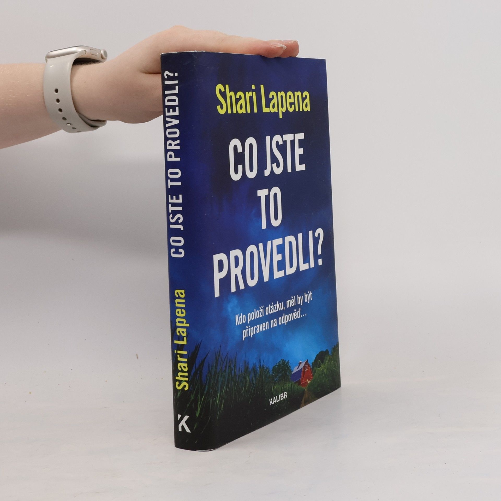 Shari Lapena Co jste to provedli?