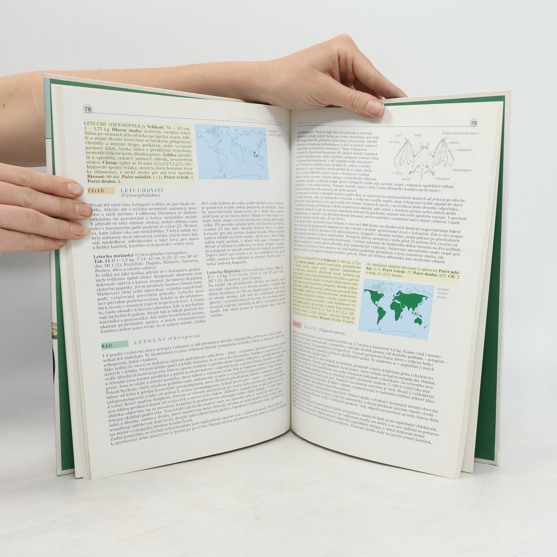 Autores varios Savci (1) : ptakořitní, vačnatci, chudozubí, hmyzožravci, tany, letuchy, letouni, primáti
