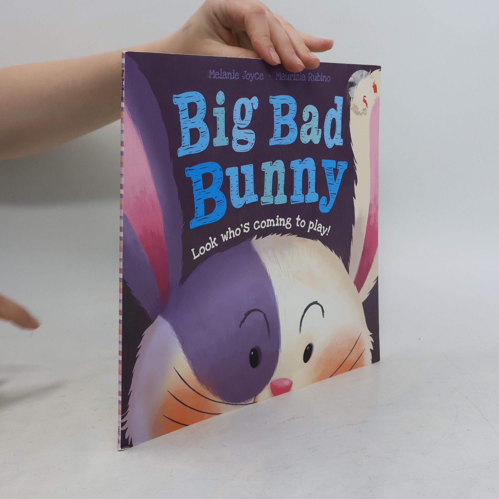 Autorenkollektiv Big Bad Bunny