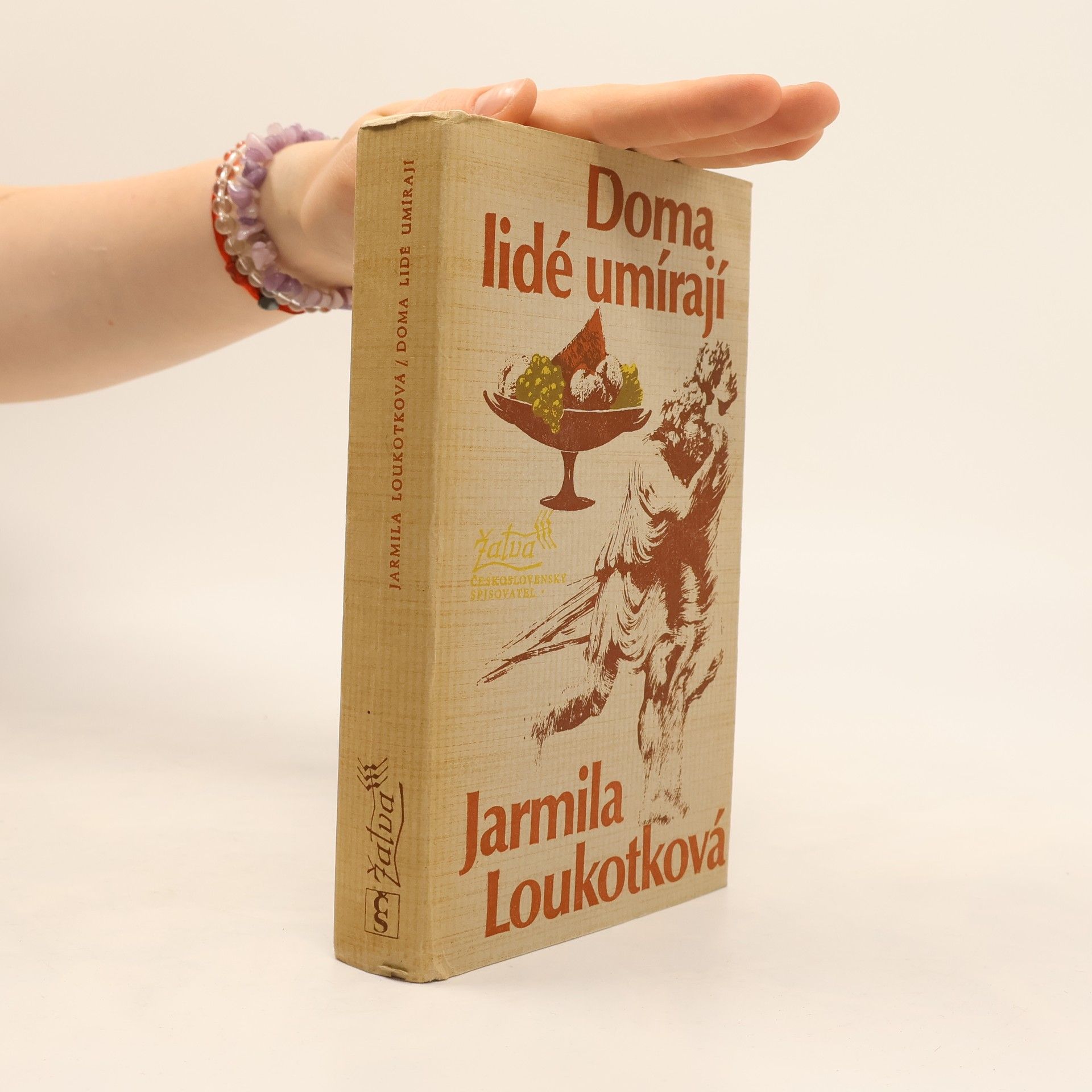 Jarmila Loukotková Doma lidé umírají
