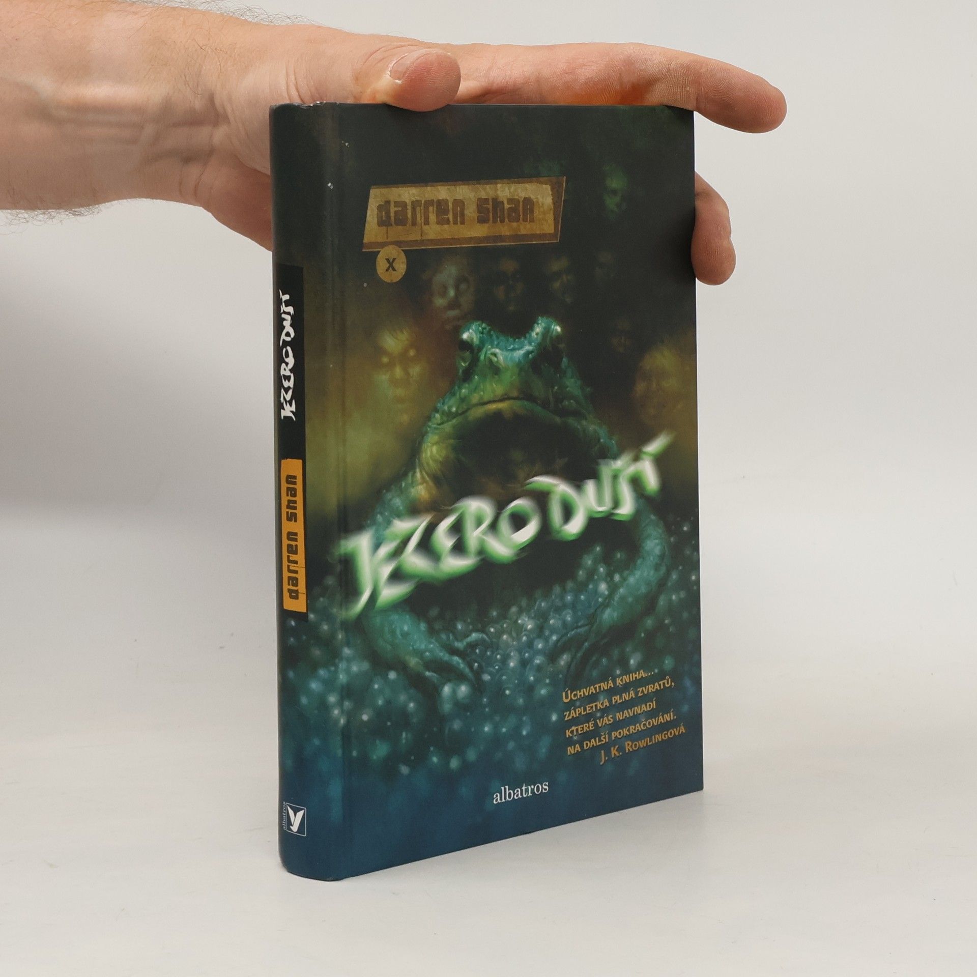 Darren O. Shaughnessy Jezero duší