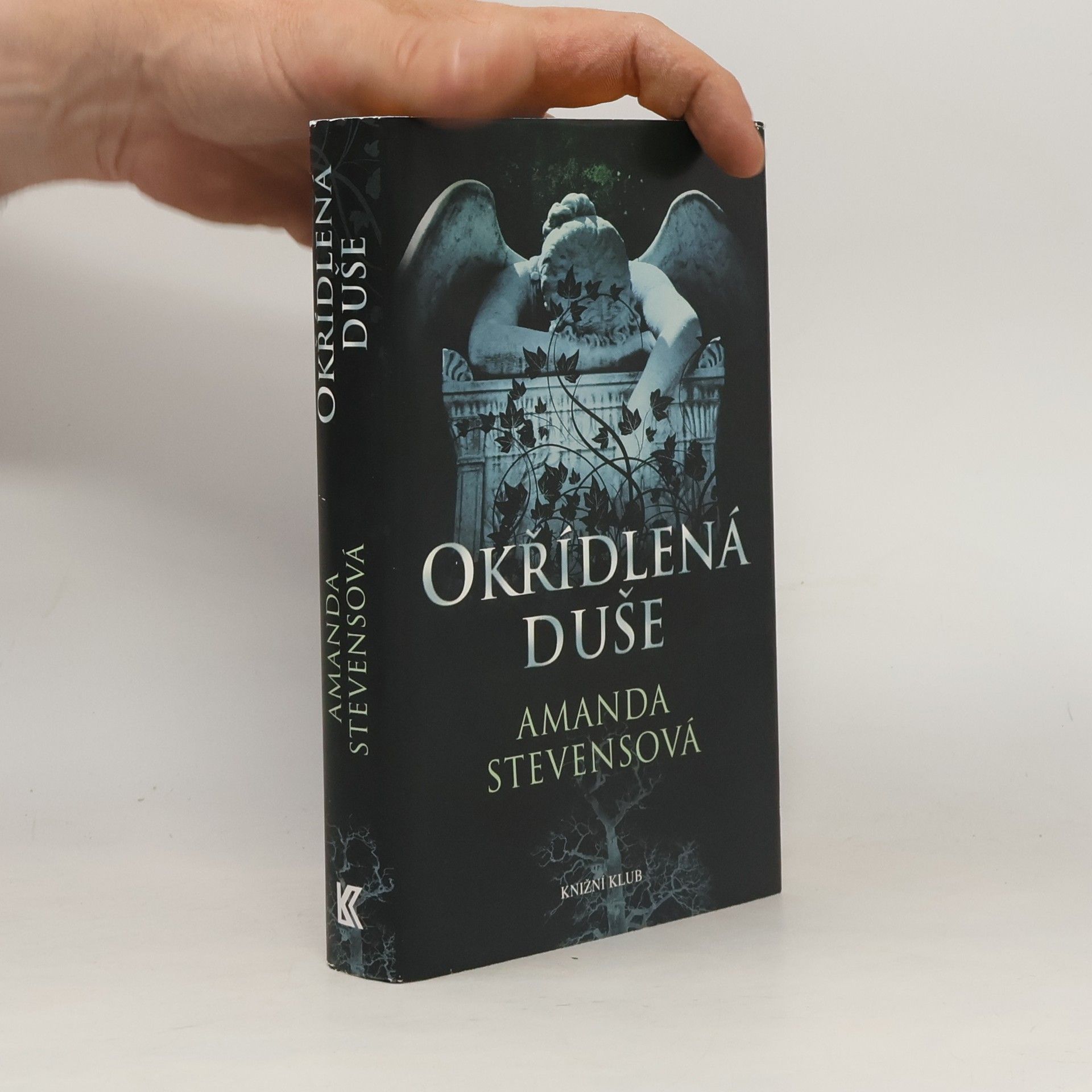 Amanda Stevens Okřídlená duše