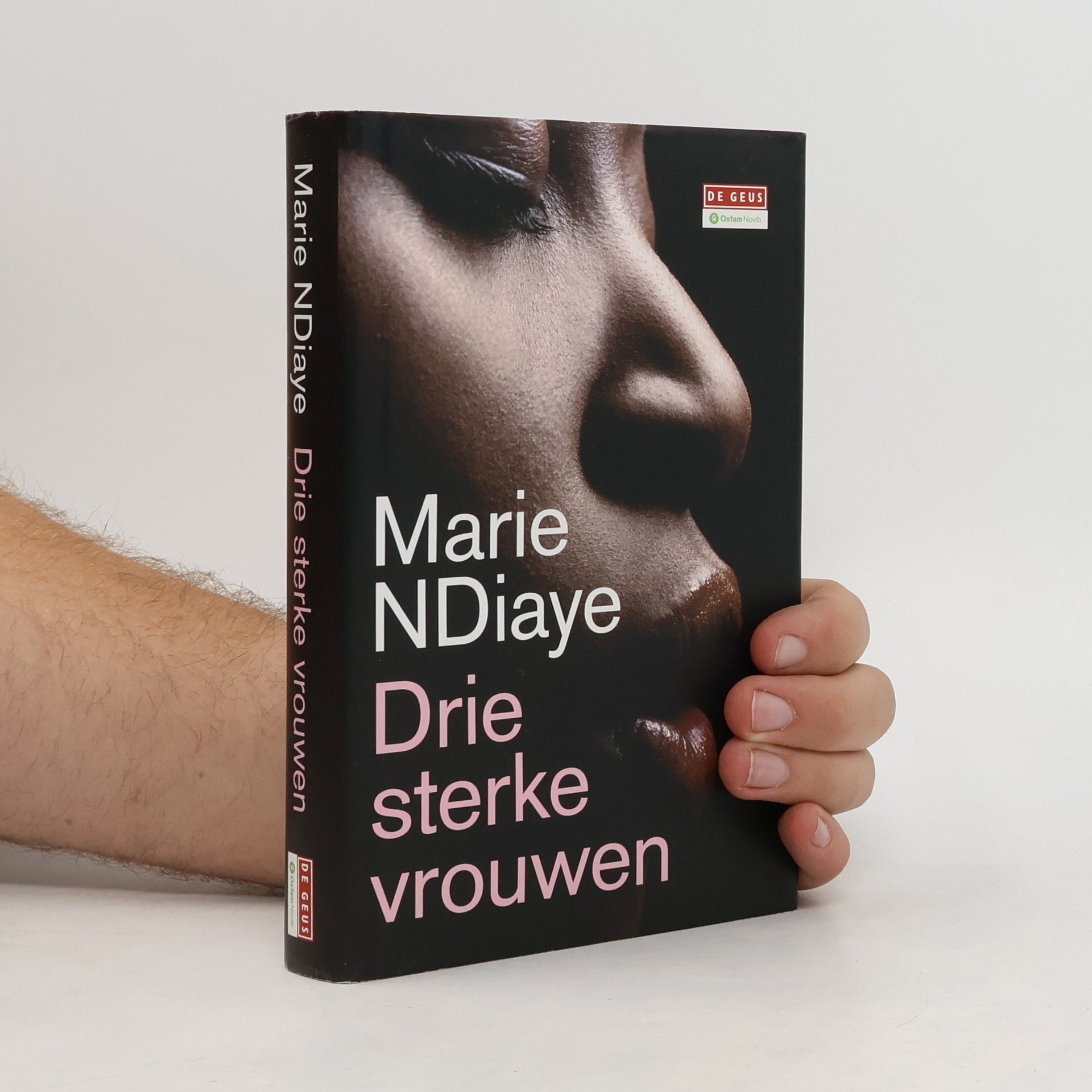 Marie Ndiaye Drie sterke vrouwen