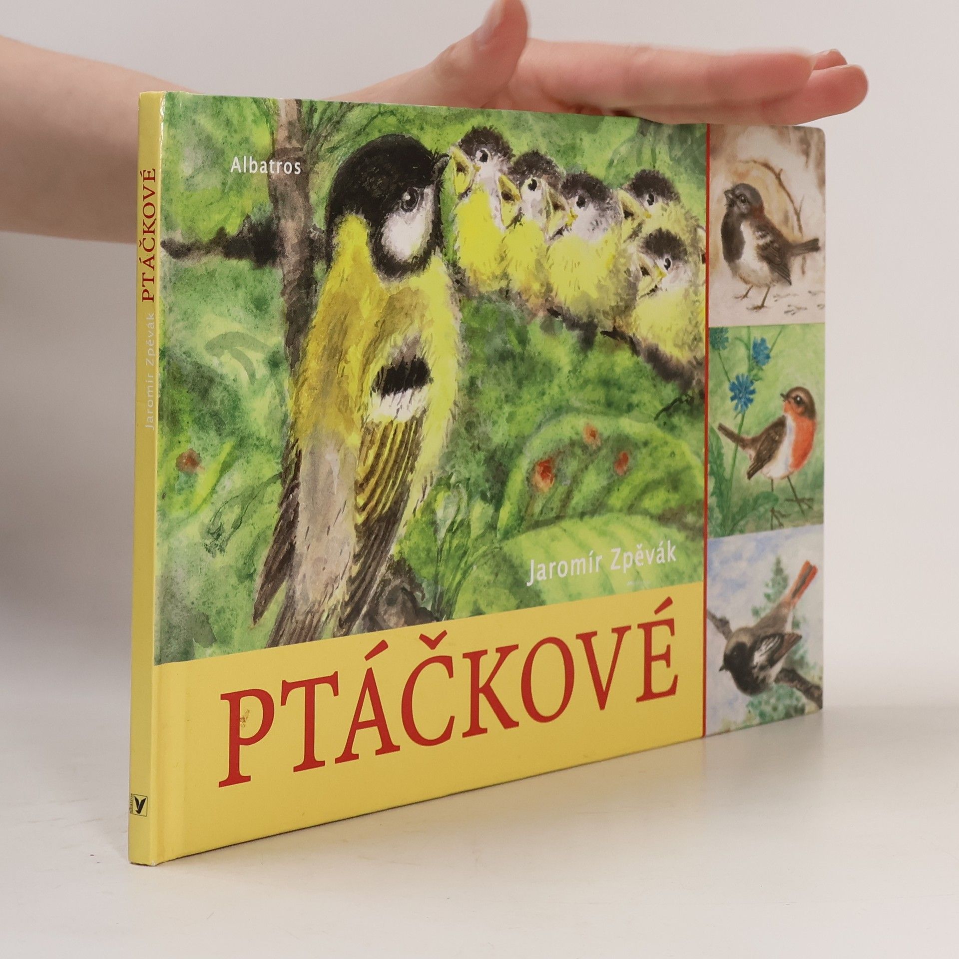 Jaromír Zpěvák Ptáčkové