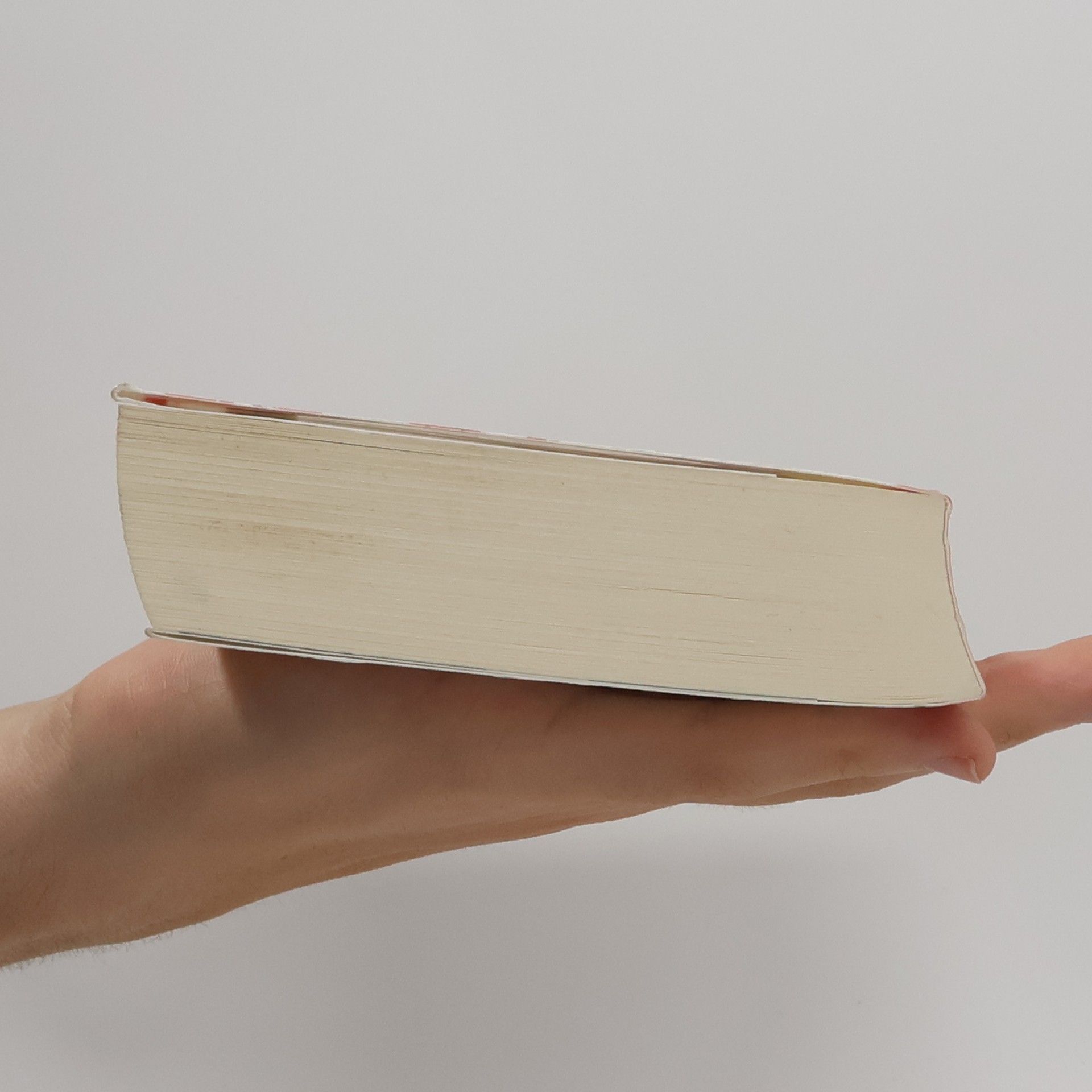 Louise Penny Das Dorf in den roten Wäldern
