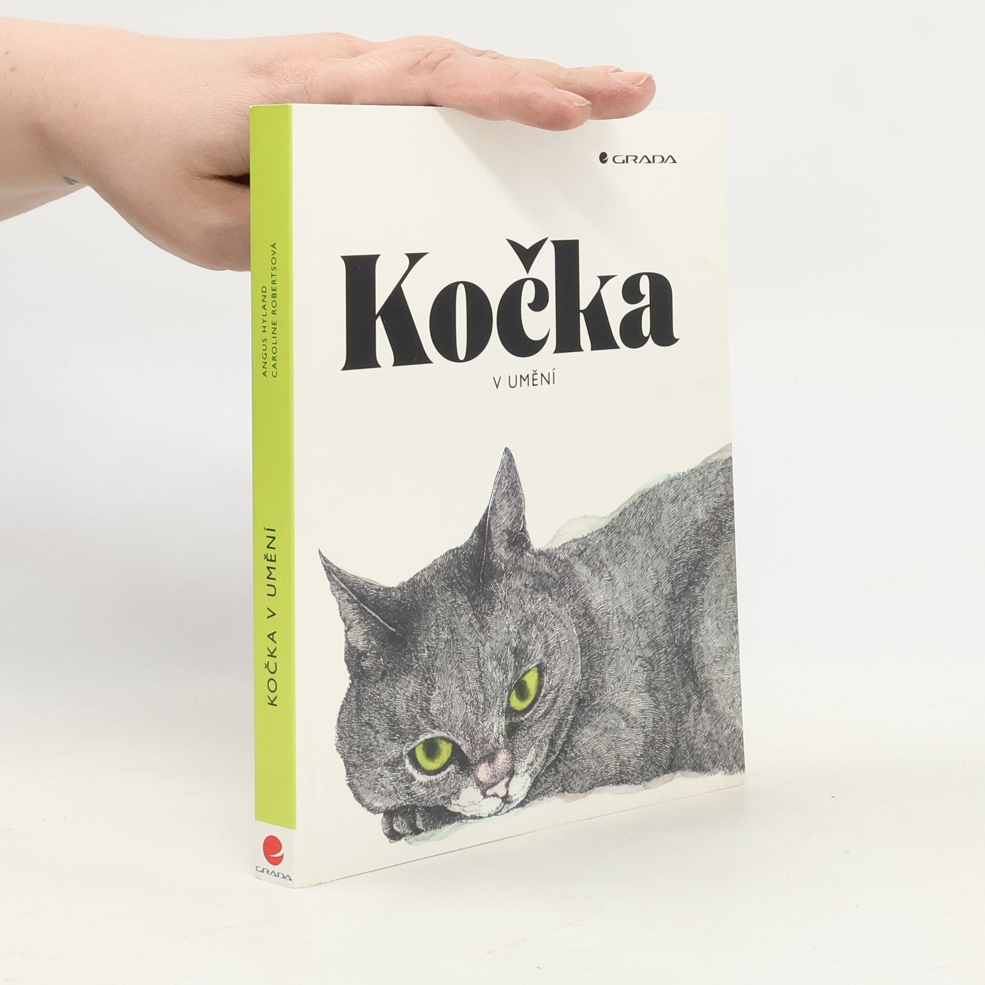Angus Hyland Kočka v umění