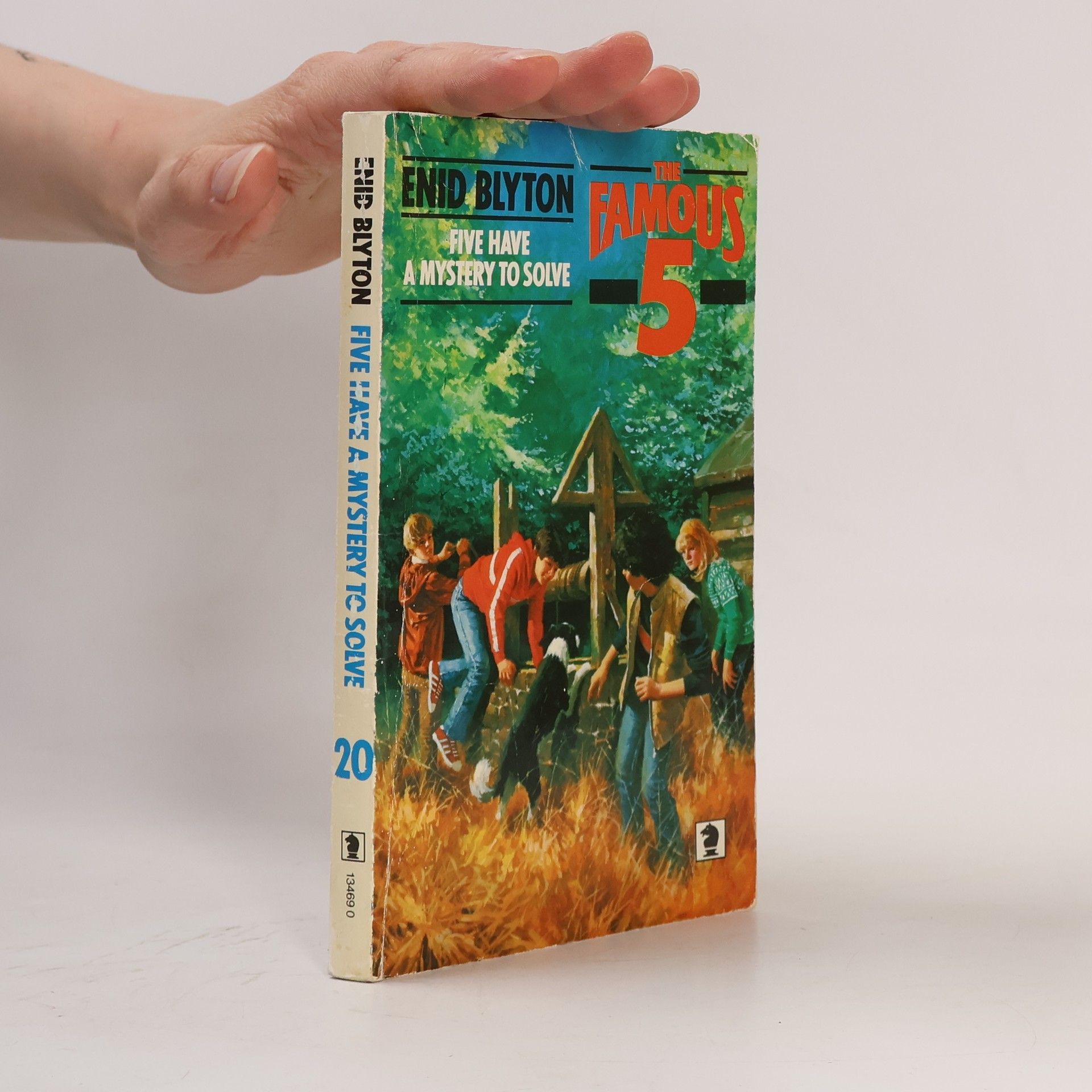 Enid Blyton Five Have a Mystery to Solve
