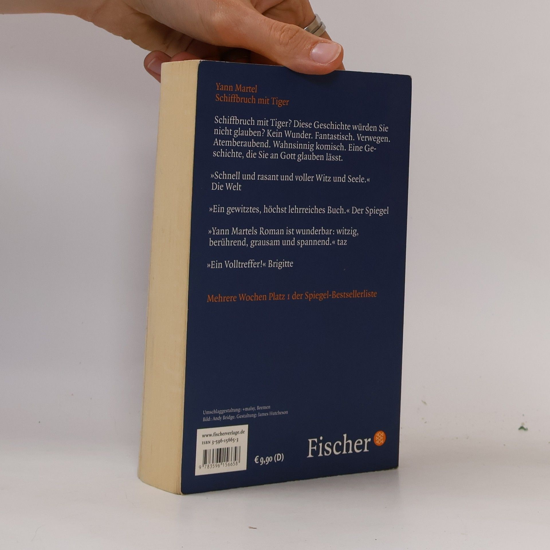 Yann Martel Schiffbruch mit Tiger