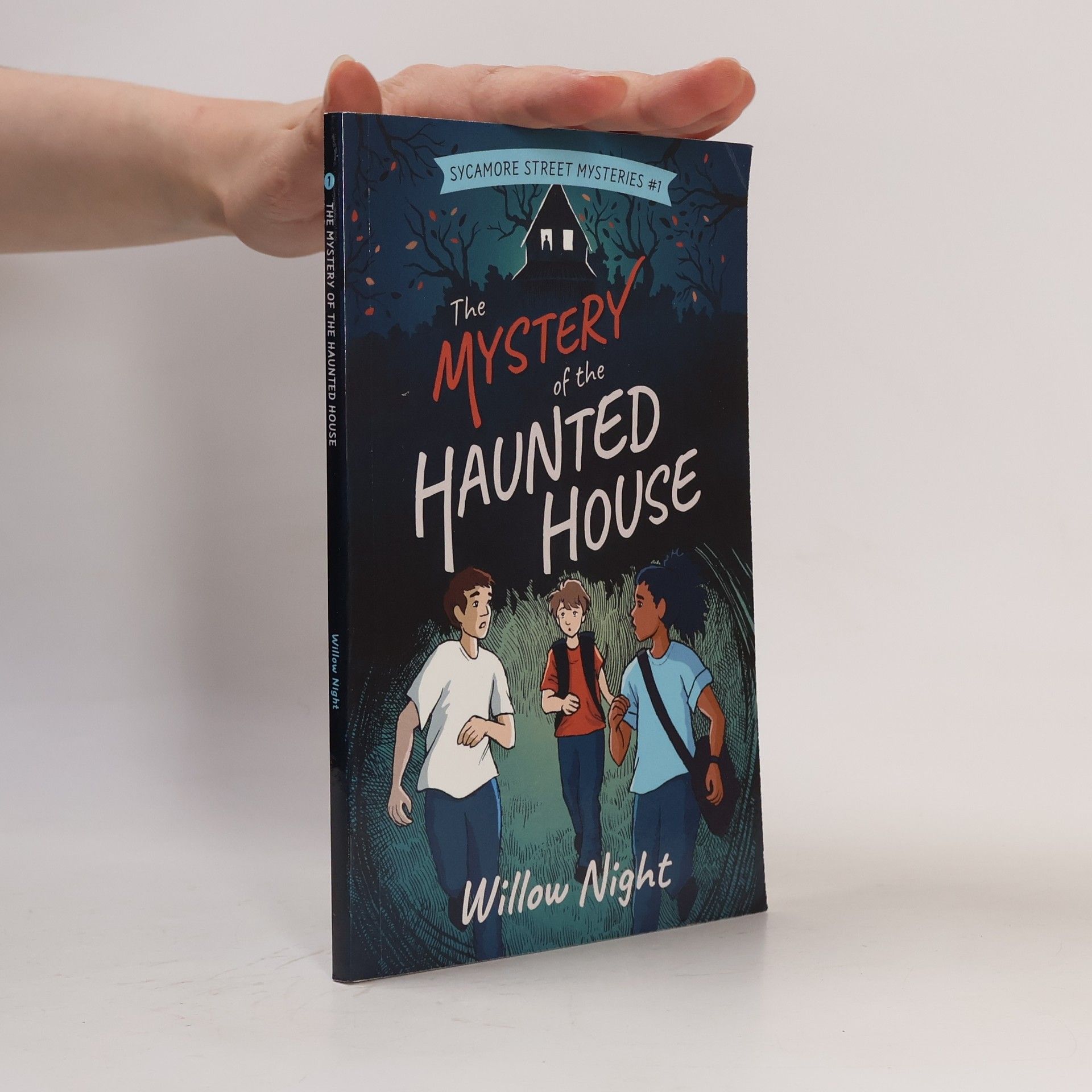Elizabeth Leach Sycamore Street Mysteries - 1: The Mystery of the Haunted House