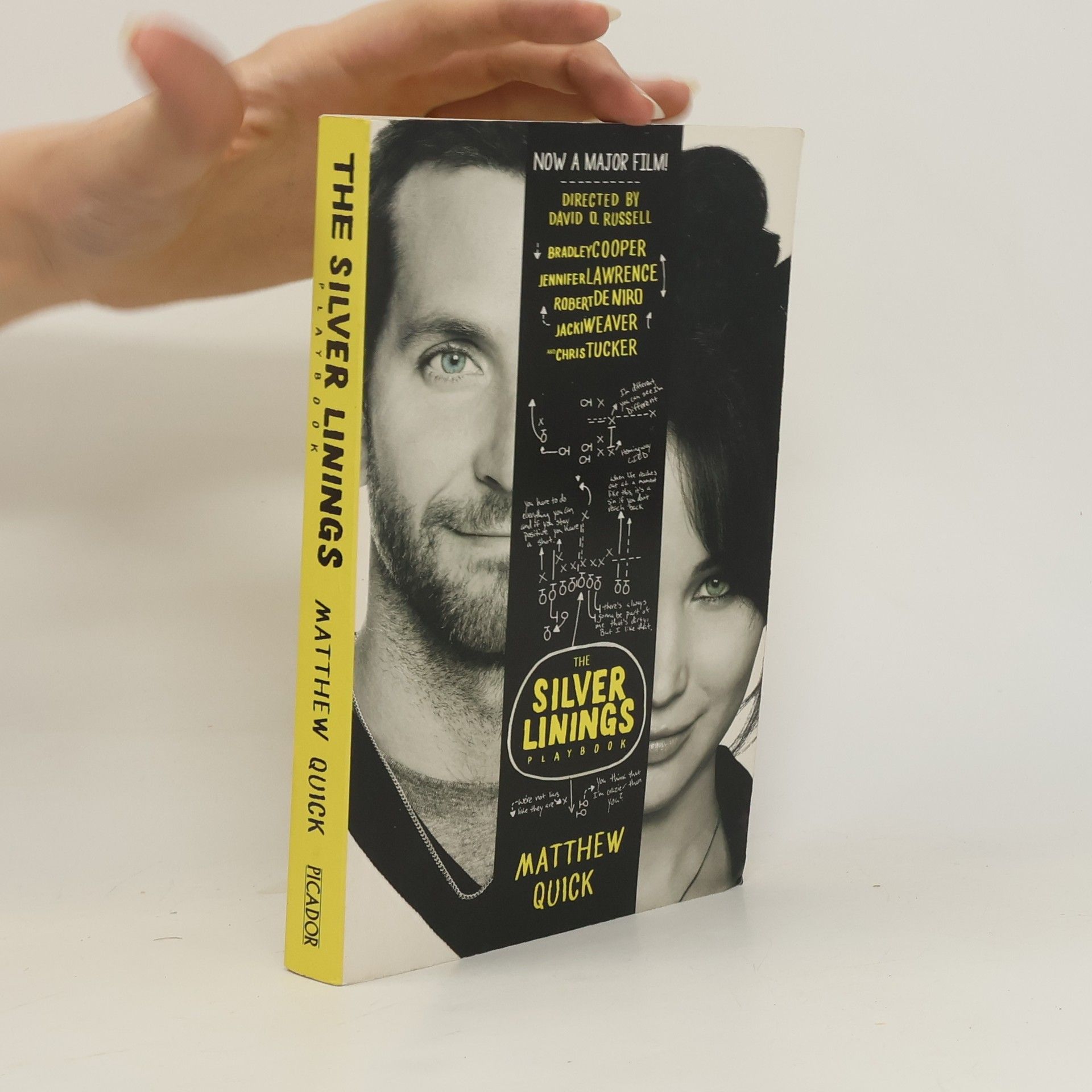 Matthew Quick Silver linings playbook