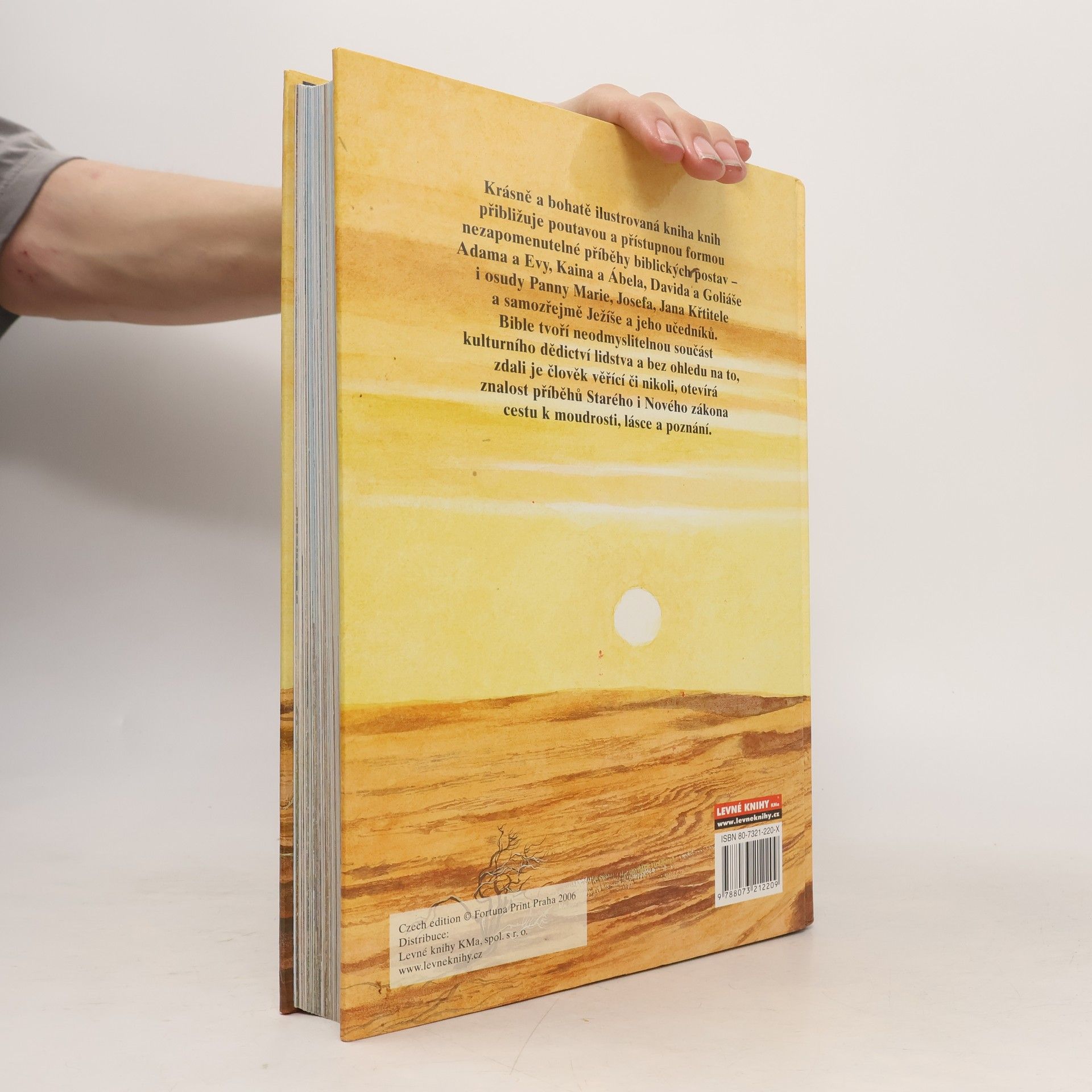 Kolektív autorov Dětská ilustrovaná bible