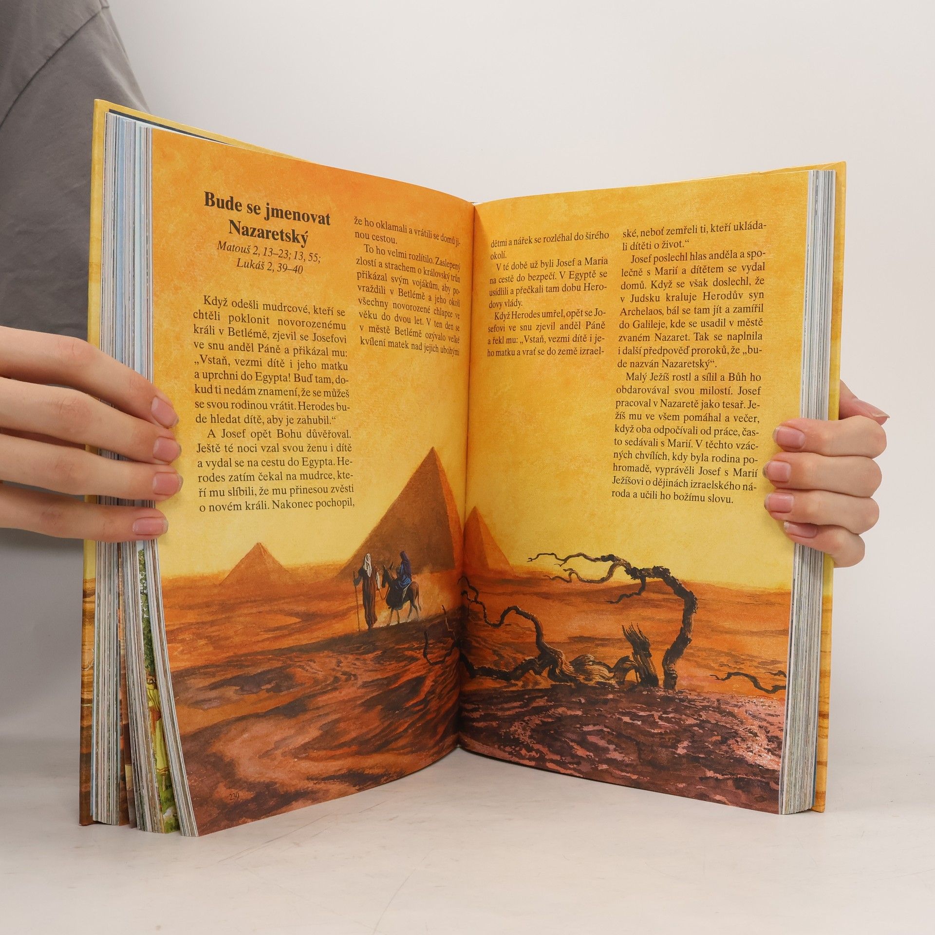 Kolektív autorov Dětská ilustrovaná bible