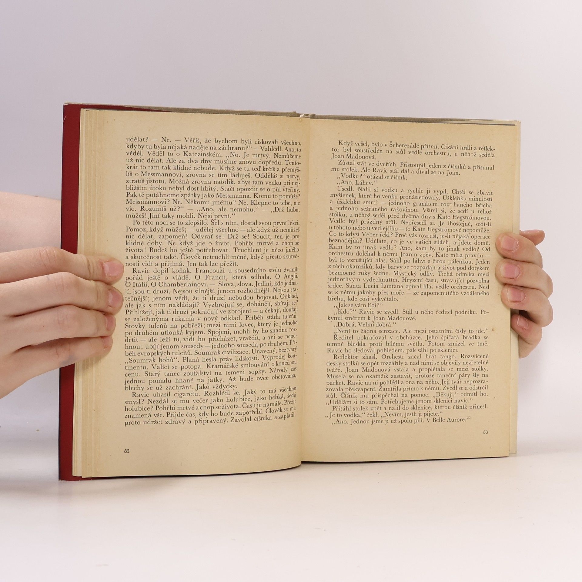 Erich Maria Remarque Vítězný oblouk