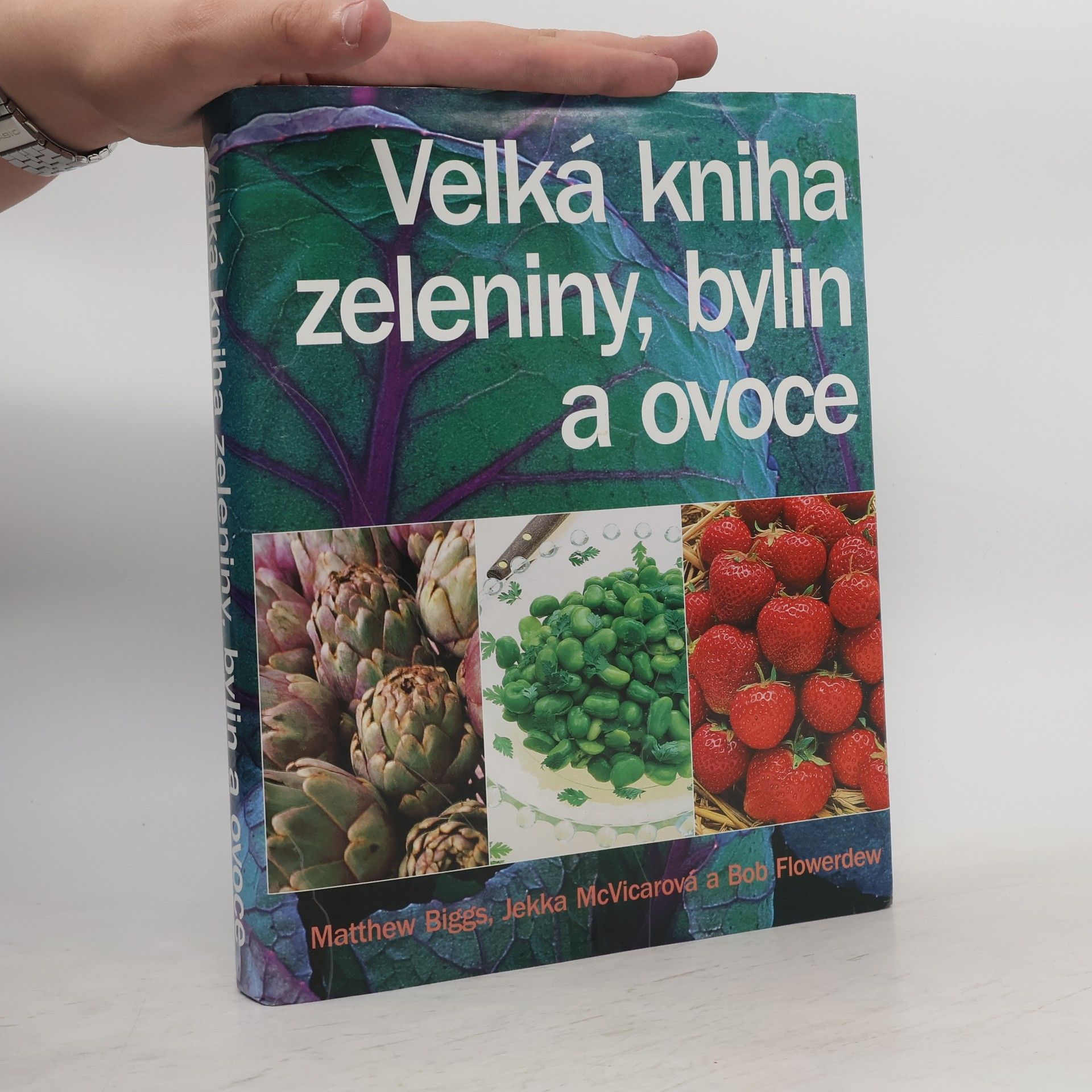 Matthew Biggs Velká kniha zeleniny, bylin a ovoce