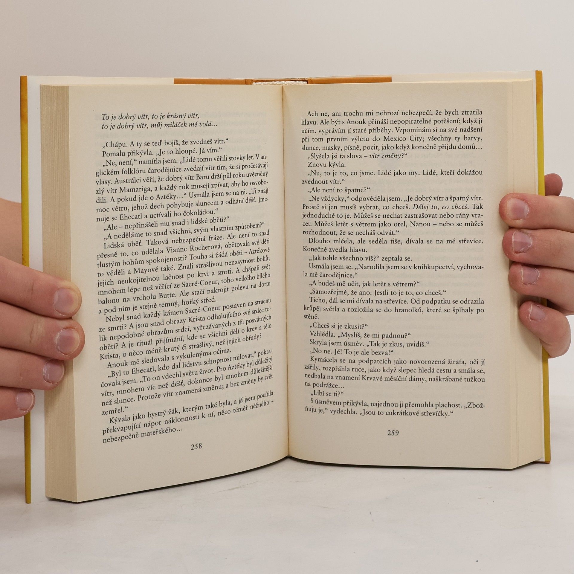 Joanne Harris Krysařovy střevíce