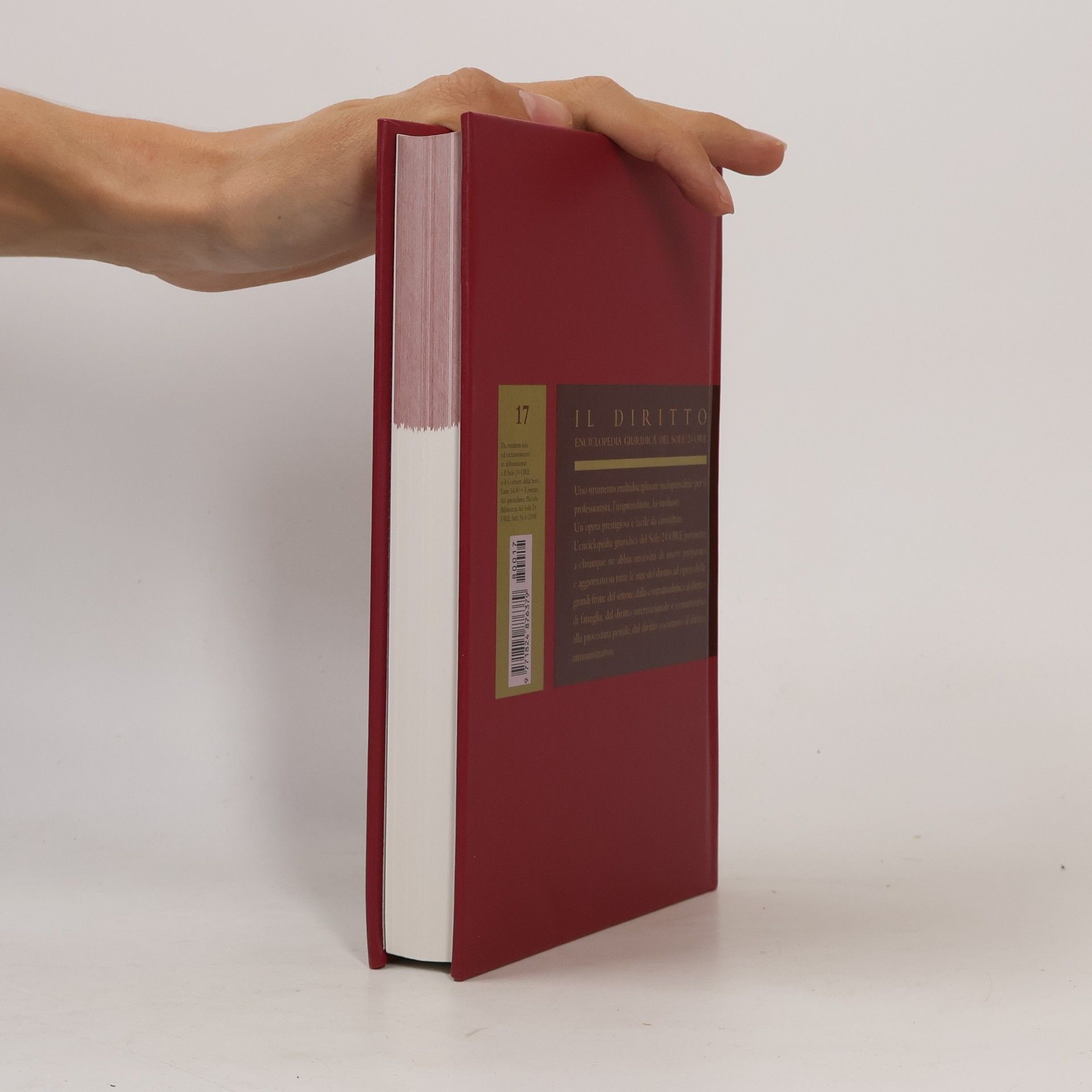 Various authors Il diritto 17