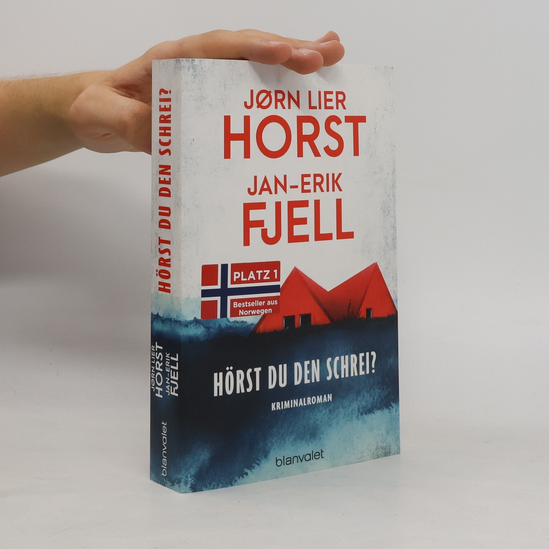 Jorn Lier Enger Thomas Horst Hörst du den Schrei?