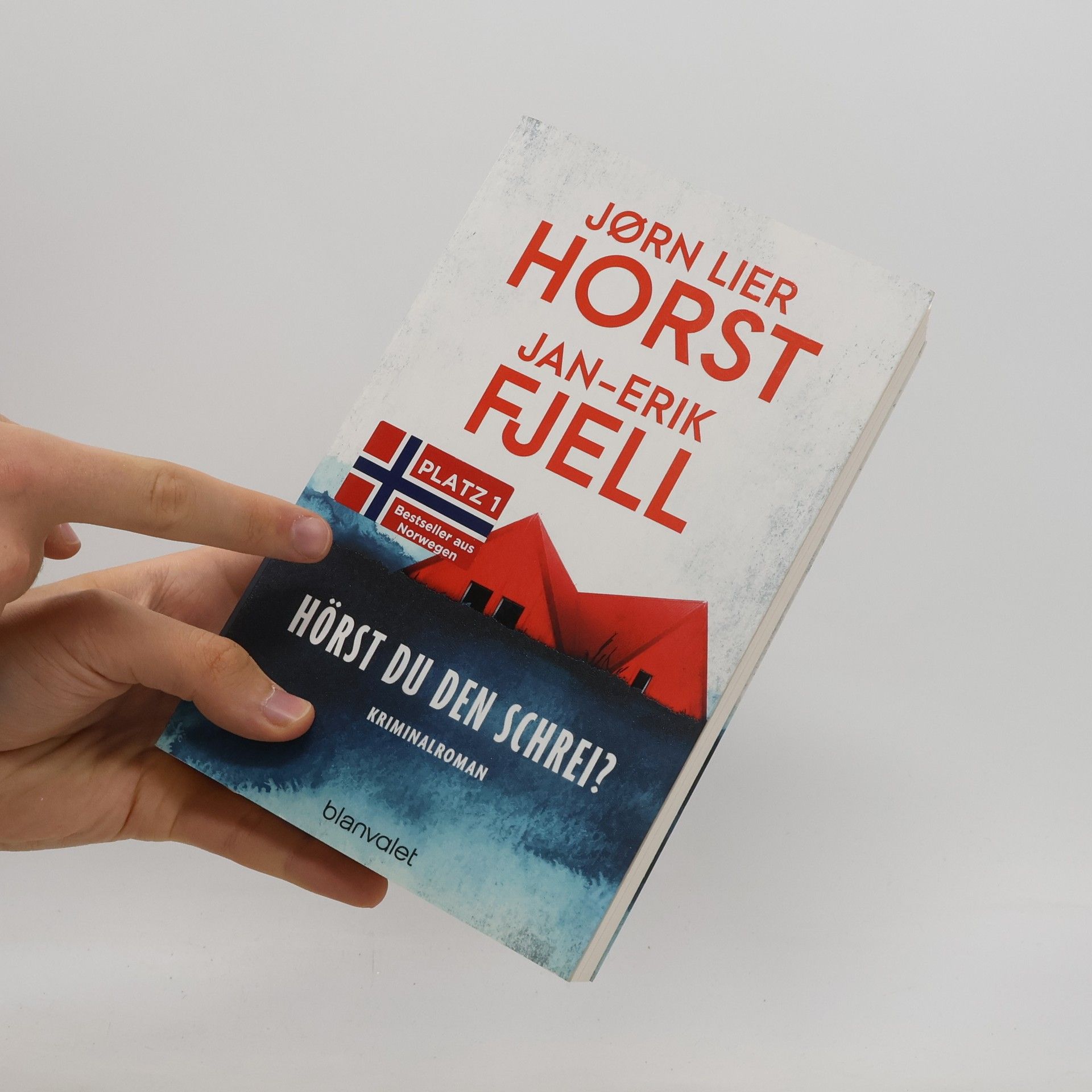 Jorn Lier Enger Thomas Horst Hörst du den Schrei?