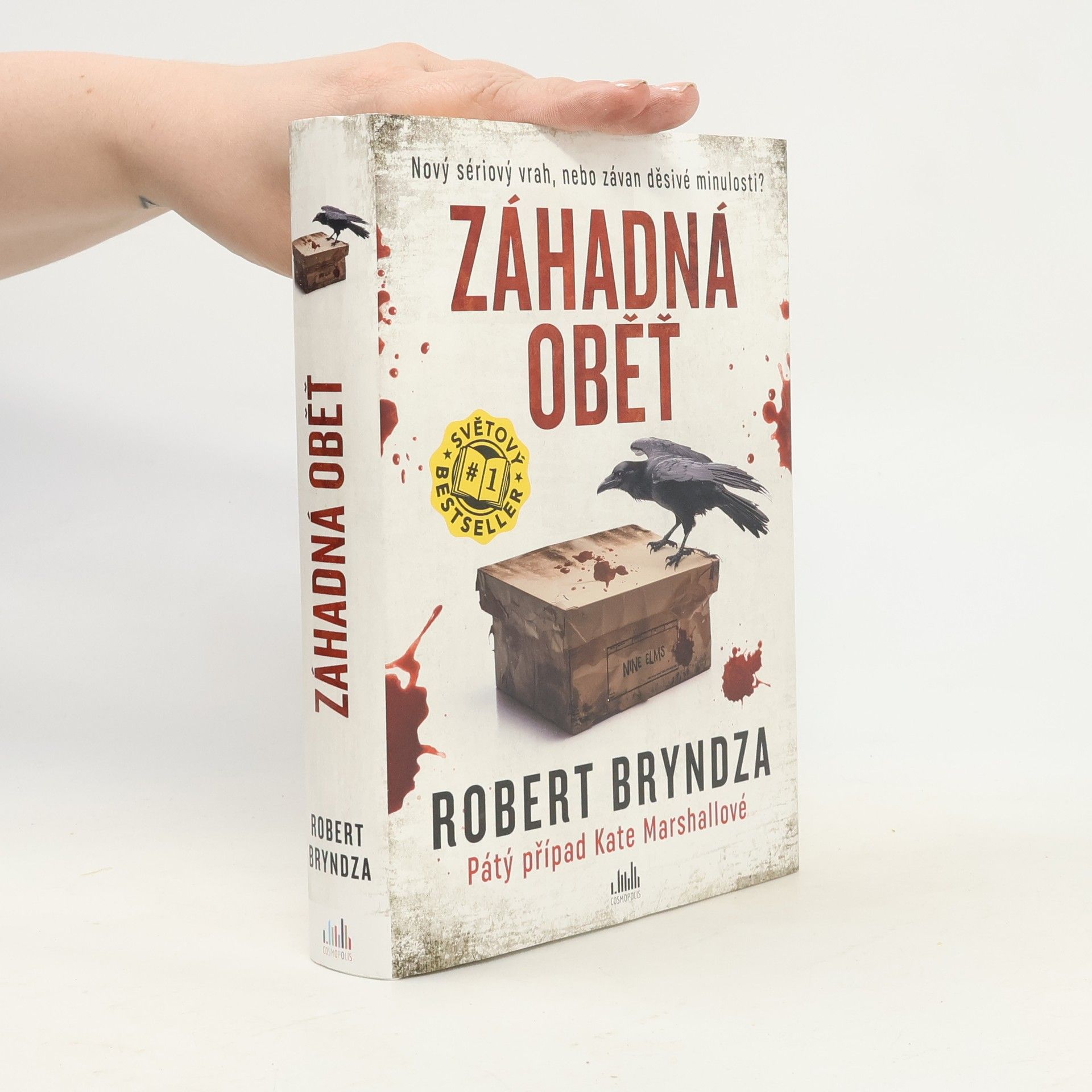 Robert Bryndza Záhadná oběť
