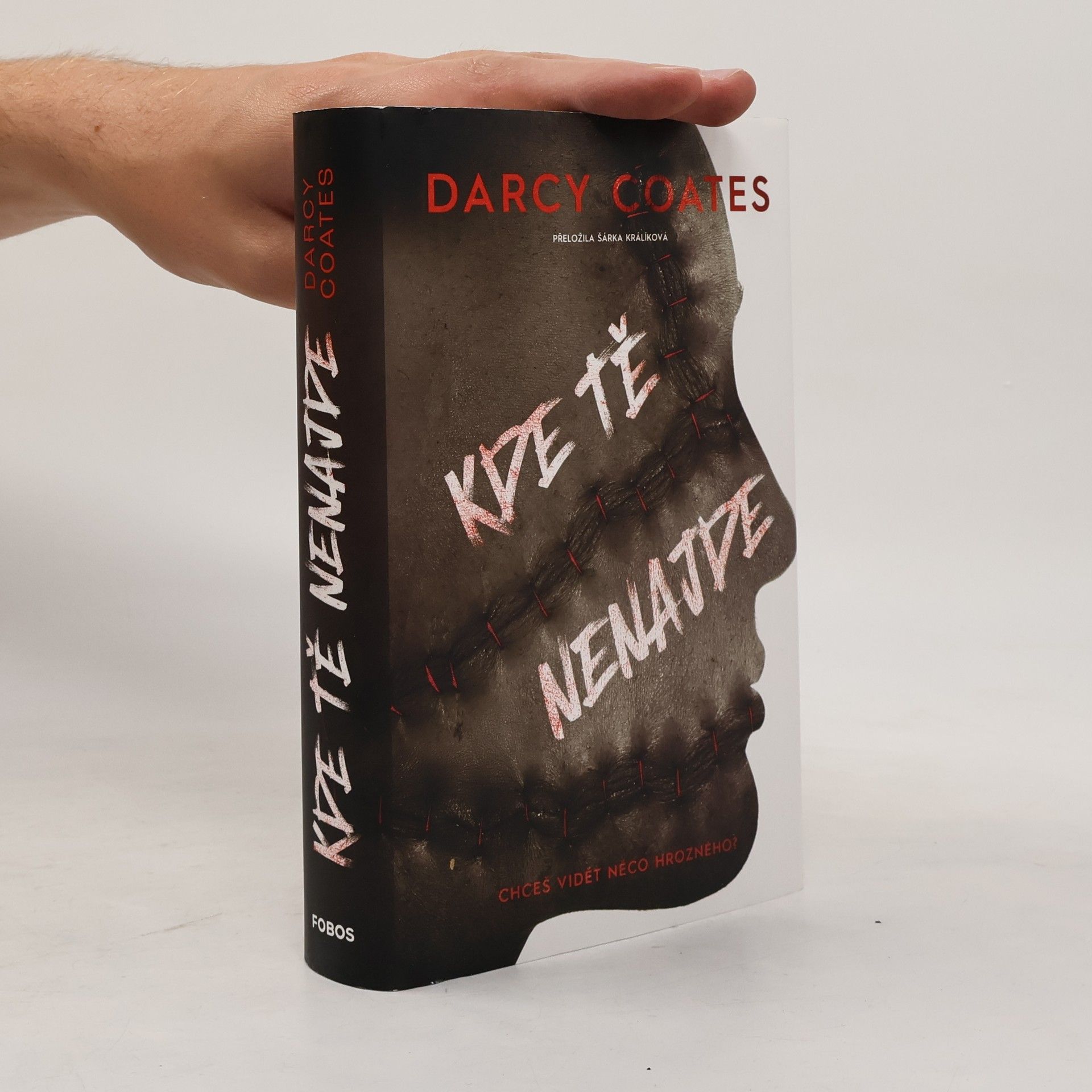 Darcy Coates Kde tě nenajde