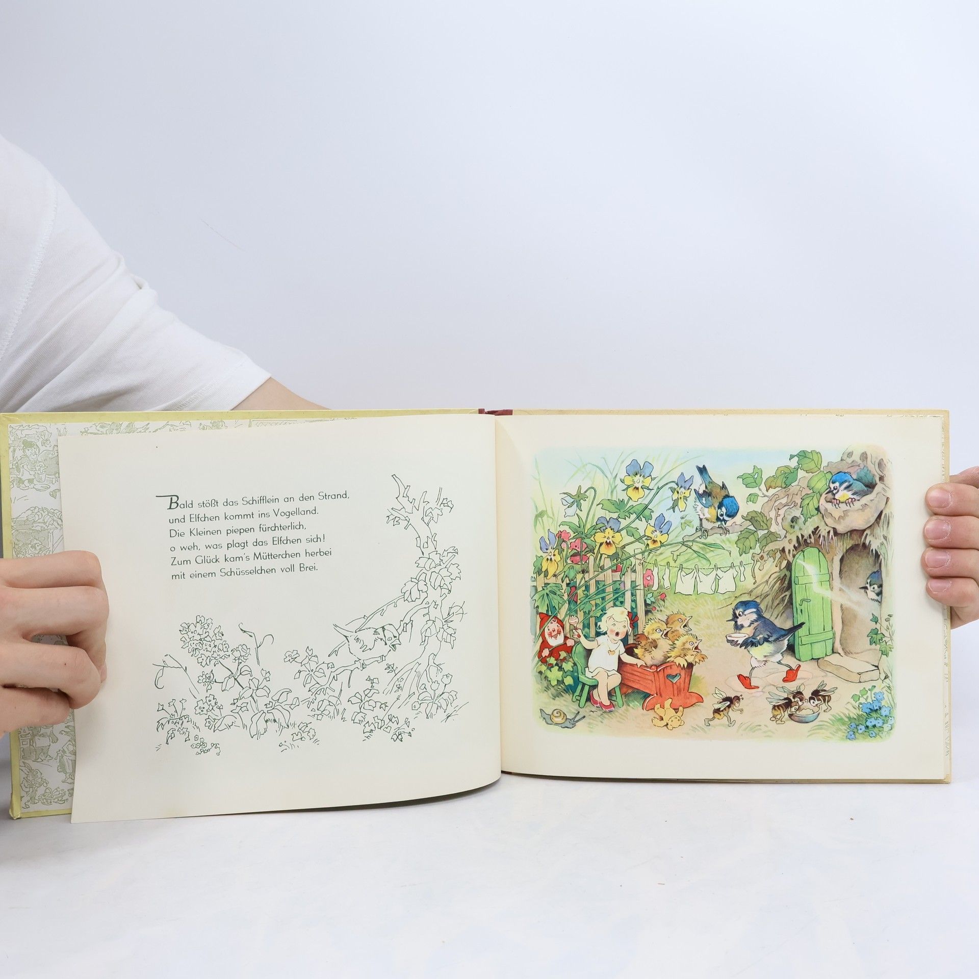 Collectif d'auteurs Das Blumenelfchen