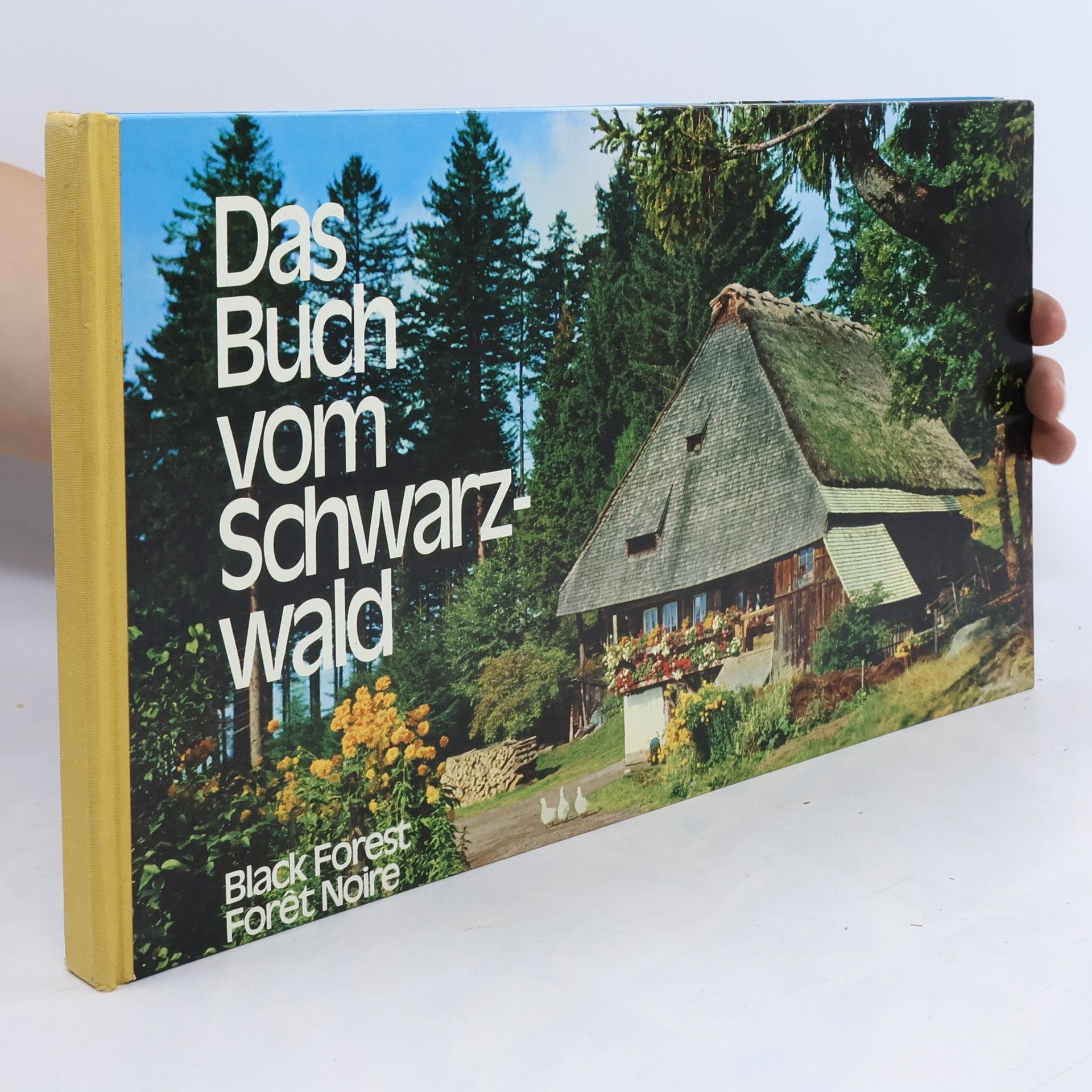 Kolektiv autorů Das Buch vom Schwarzwald