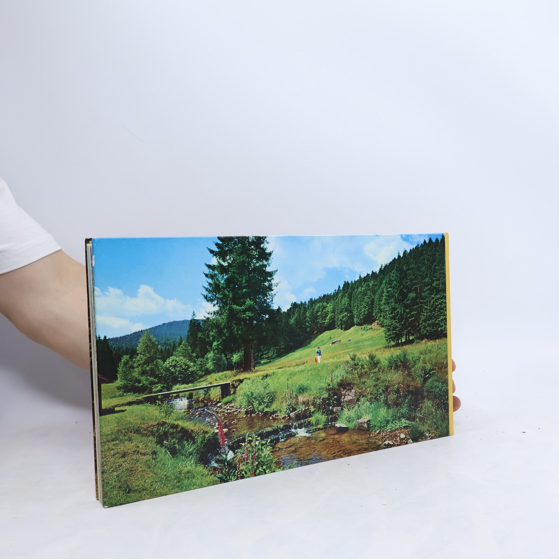 Autorenkollektiv Das Buch vom Schwarzwald