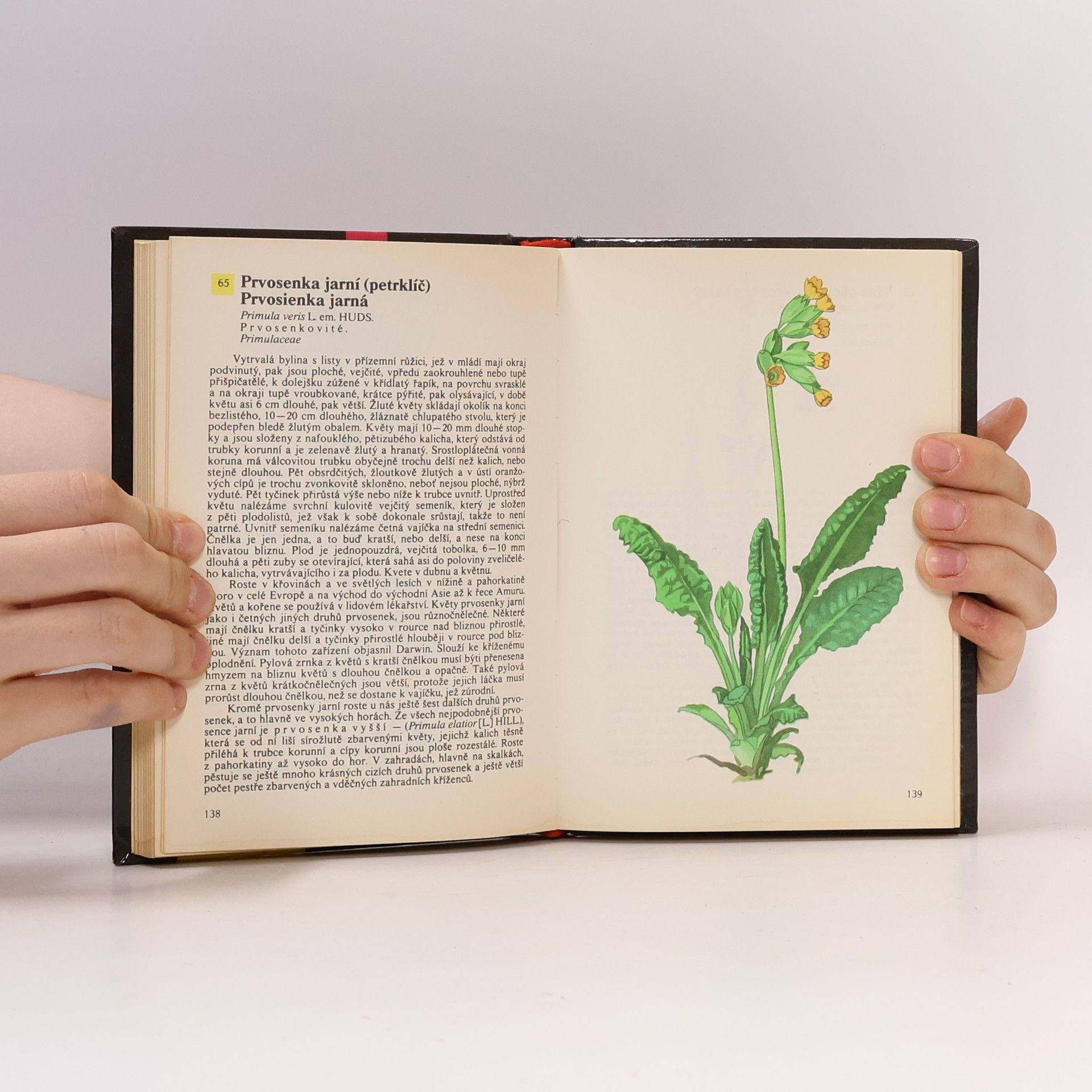Otto Ušák Kapesní atlas rostlin