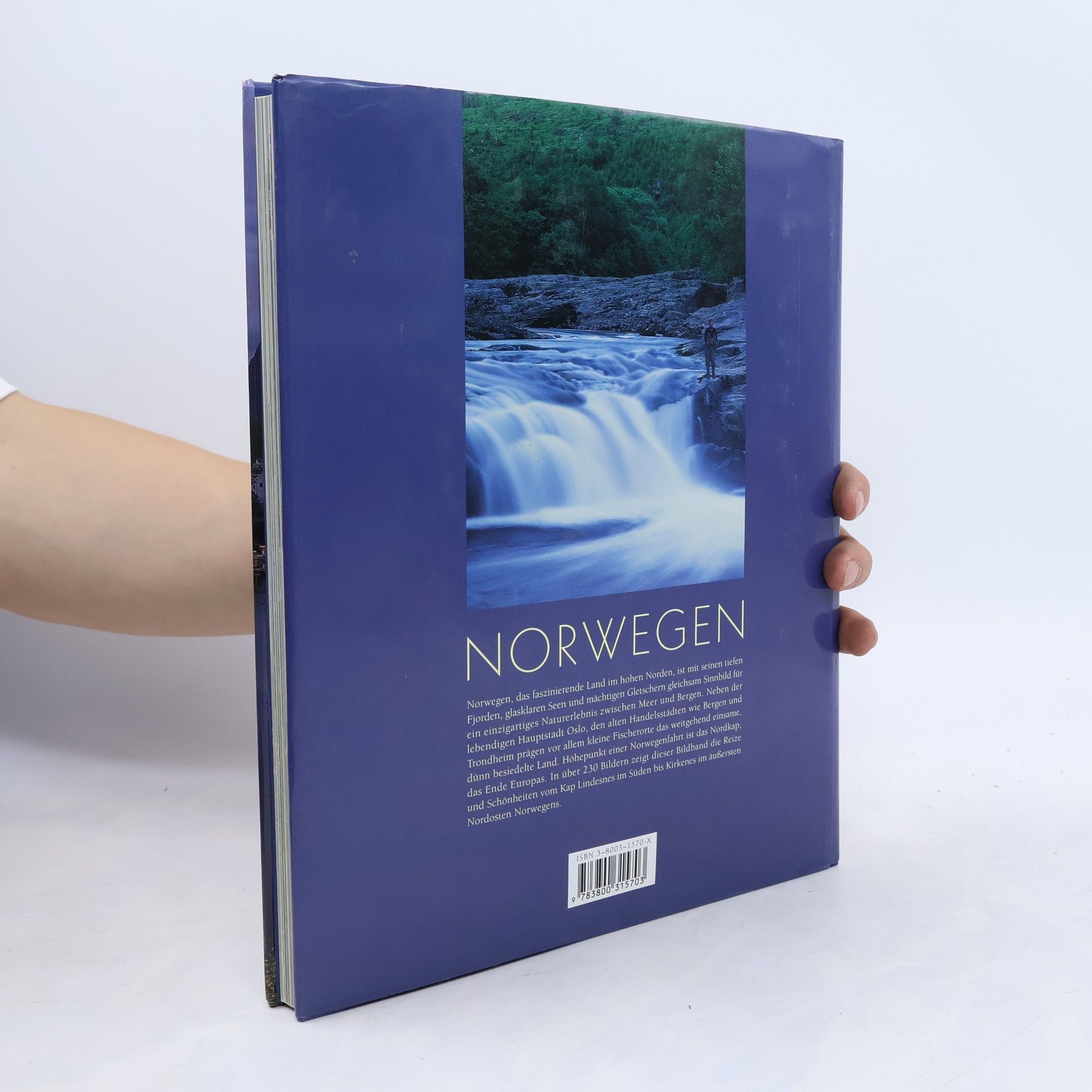 Max Galli Norwegen