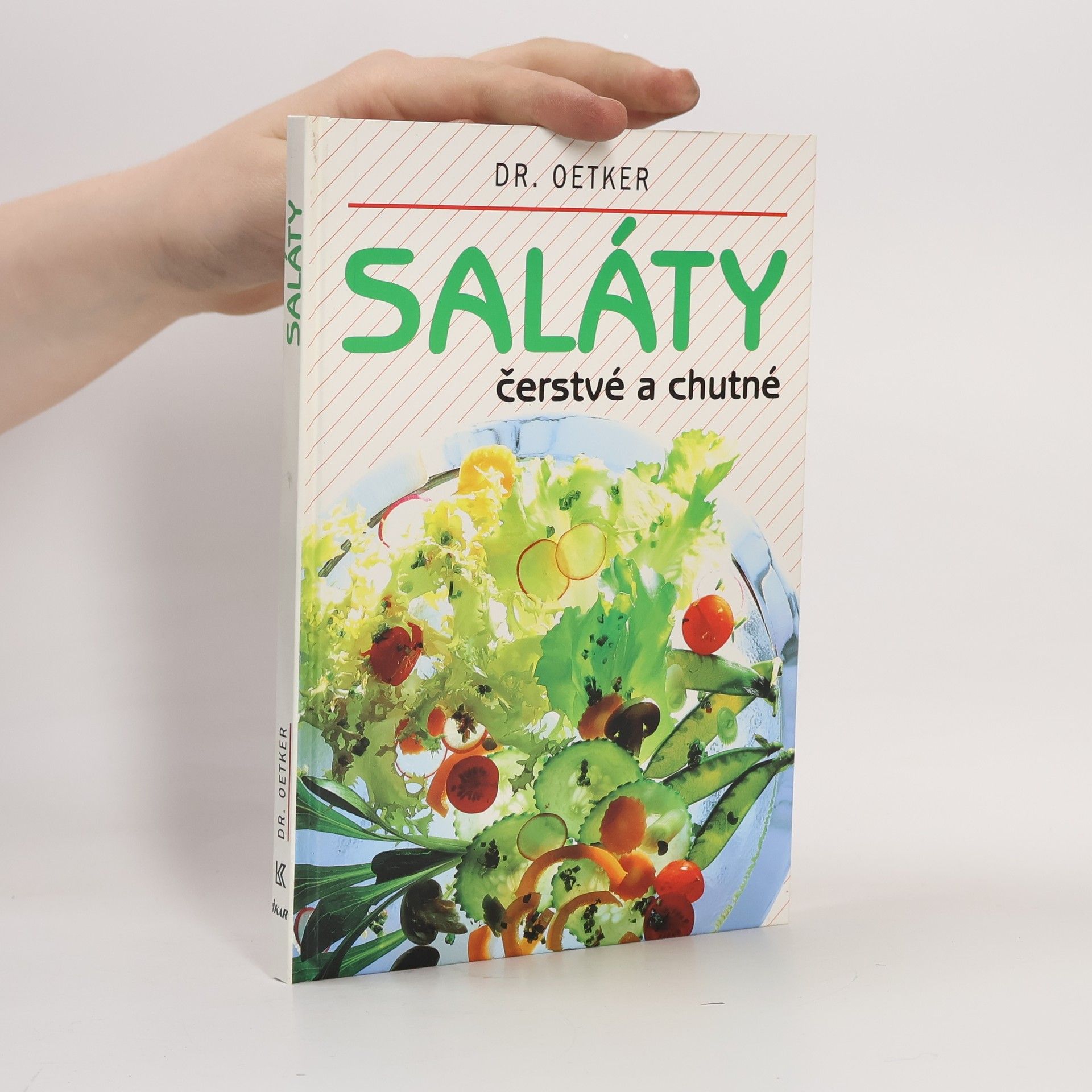 Autores varios Saláty čerstvé a chutné