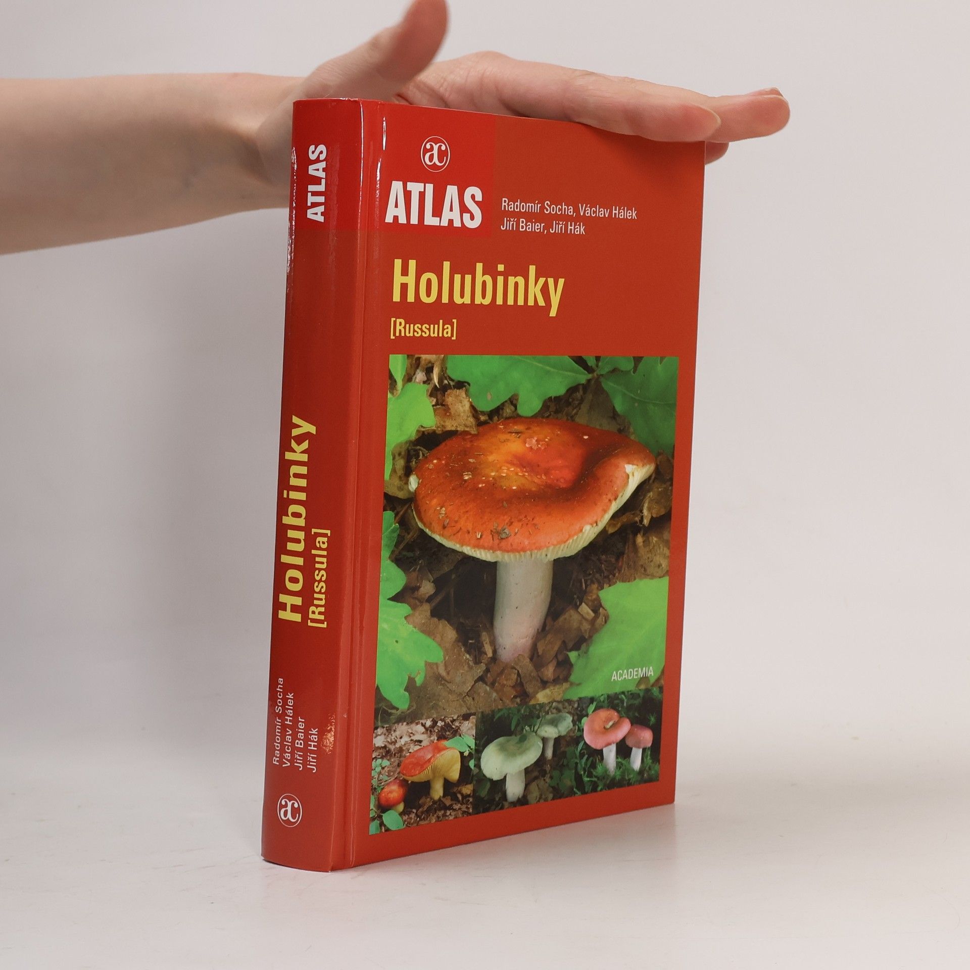 Radomír Socha Holubinky = (Russula)