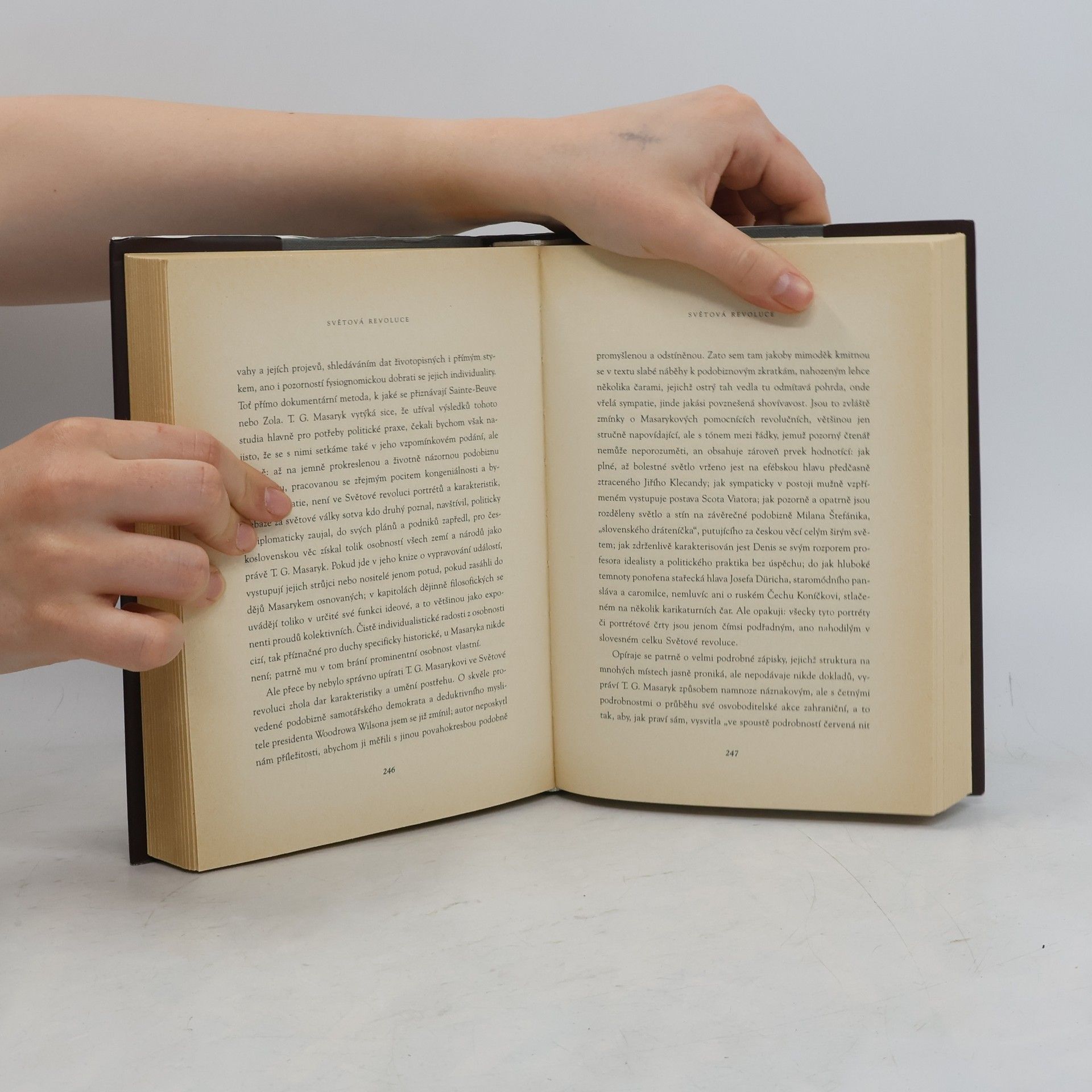 Arne Novák Česká literatura a národní tradice