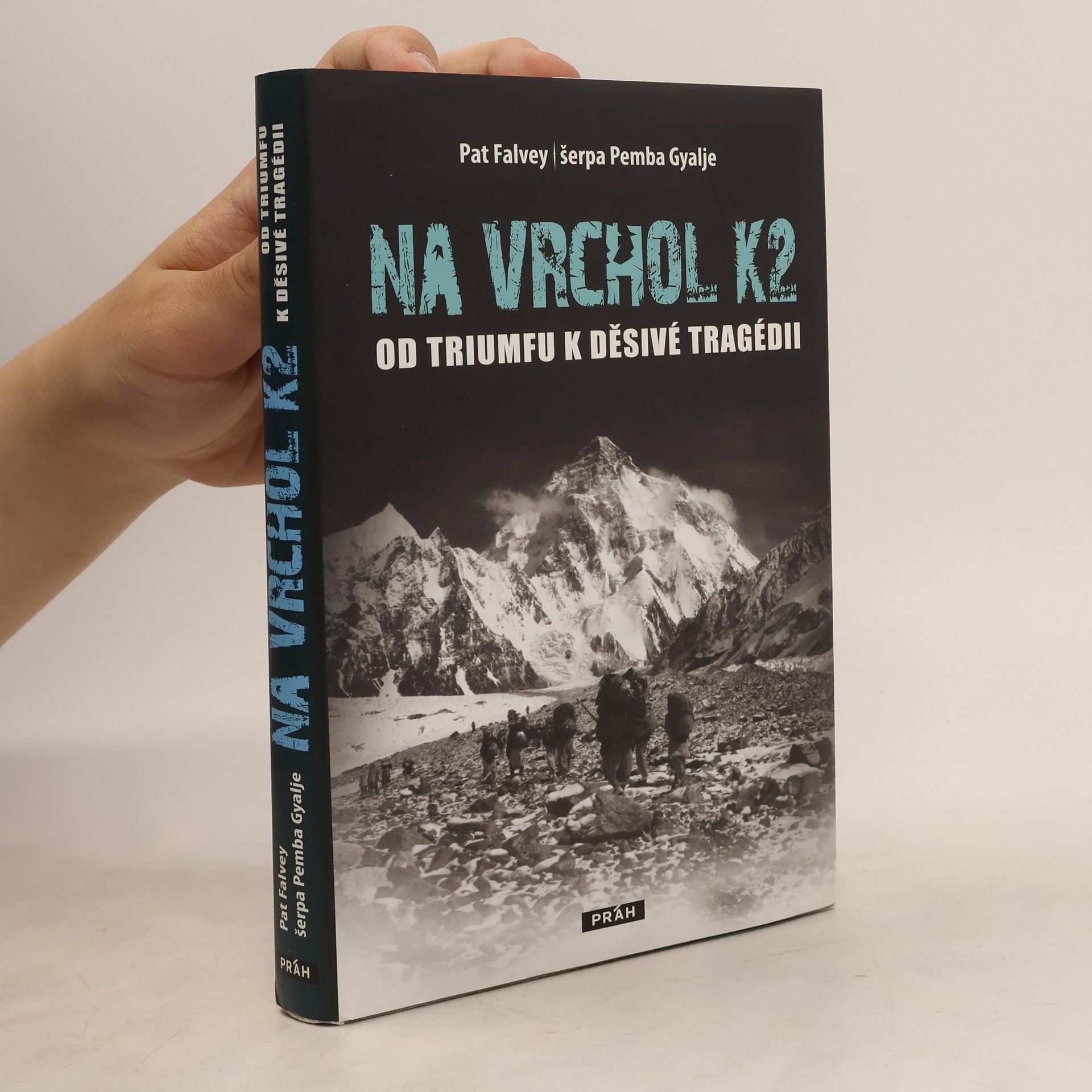 Dana Šimonová Na vrchol K2 - od triumfu k děsivé tragédii