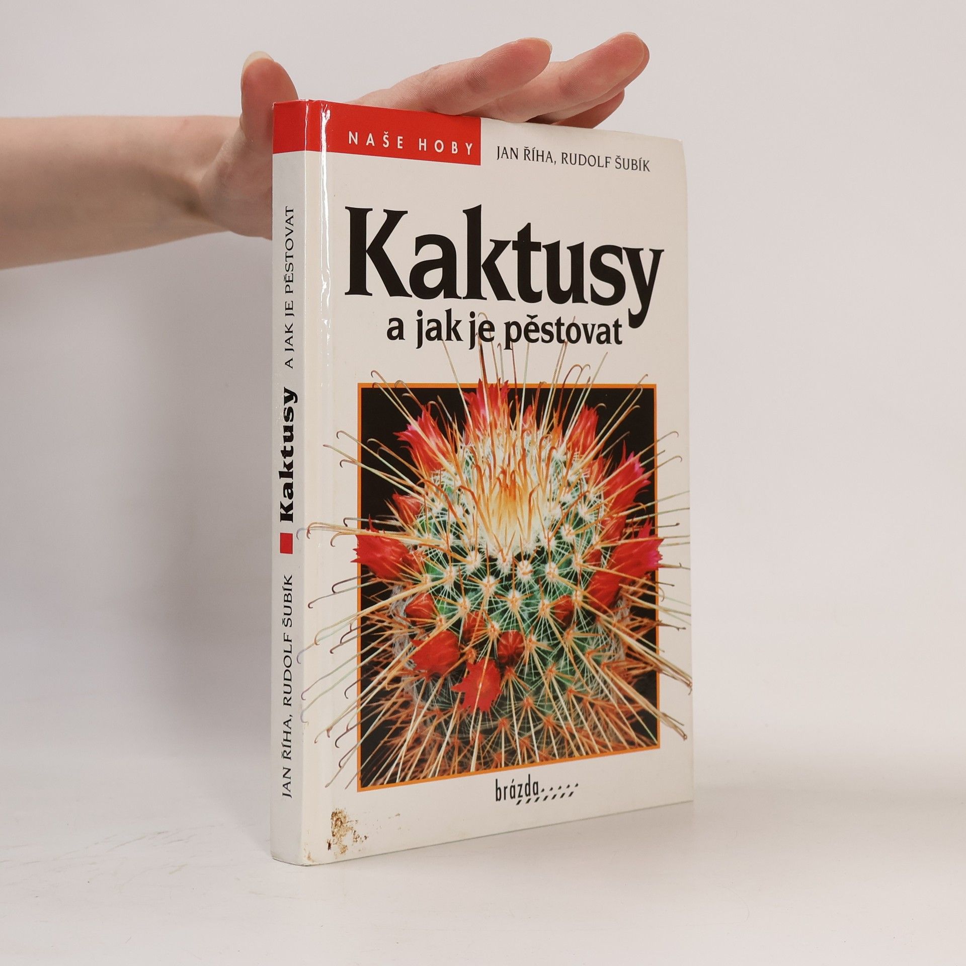 Kaktusy a jak je pěstovat
