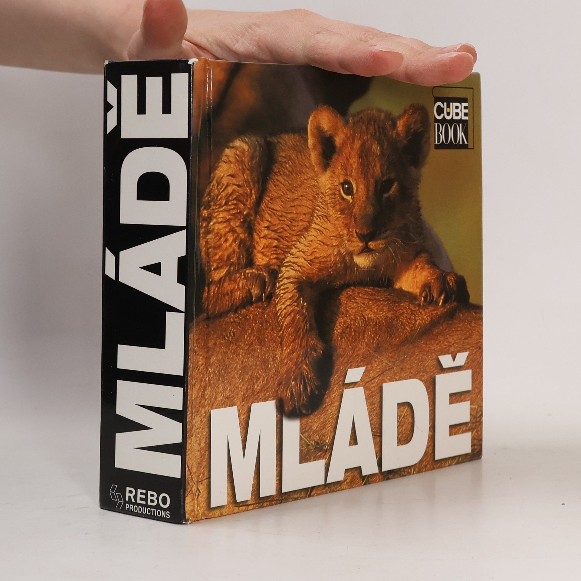 Angela S. Ildos Mládě