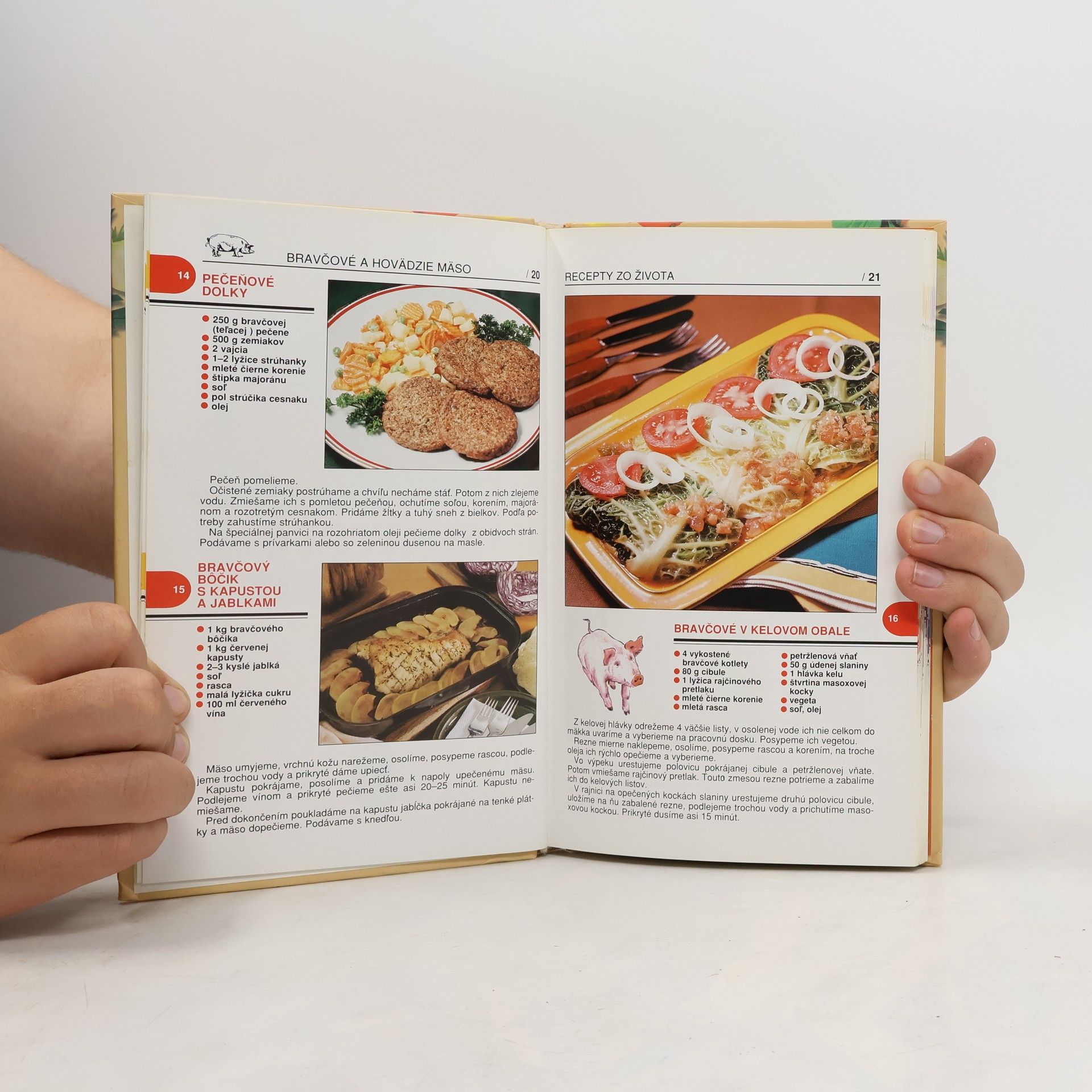 Autores varios Recepty zo života
