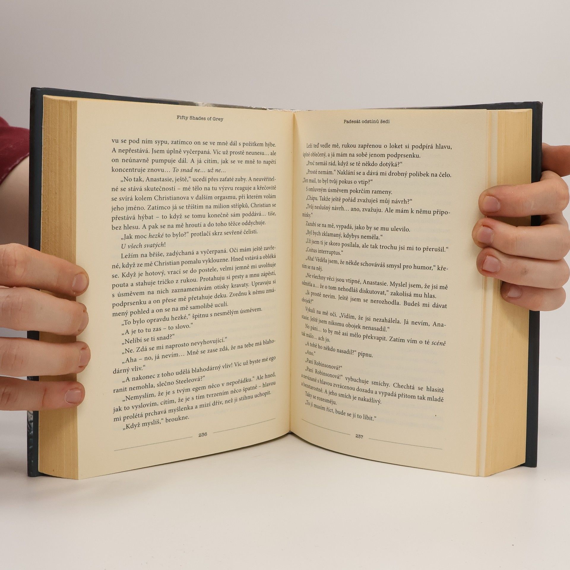 E. L. James Padesát odstínů šedi