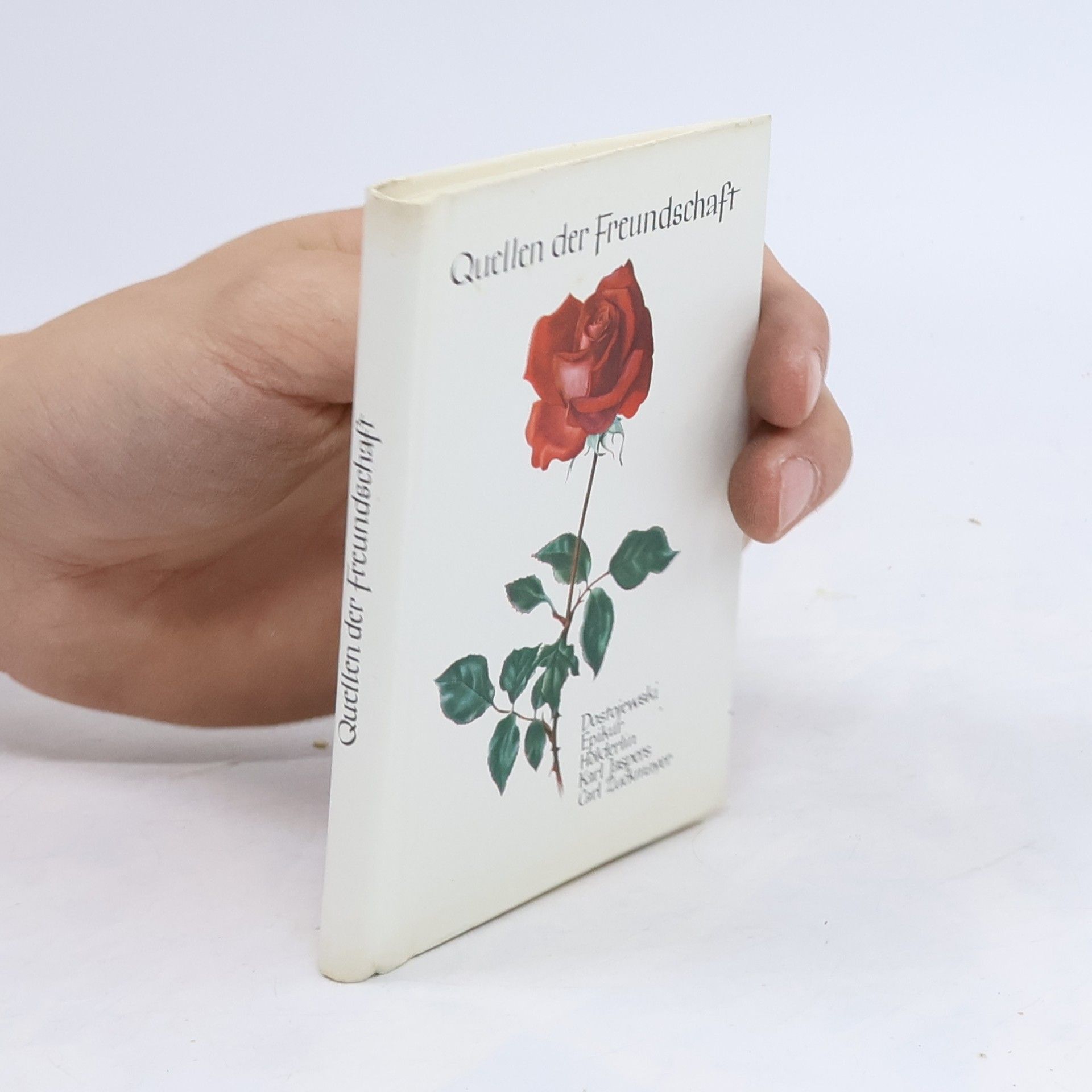 Autorenkollektiv Quellen der Freundschaft