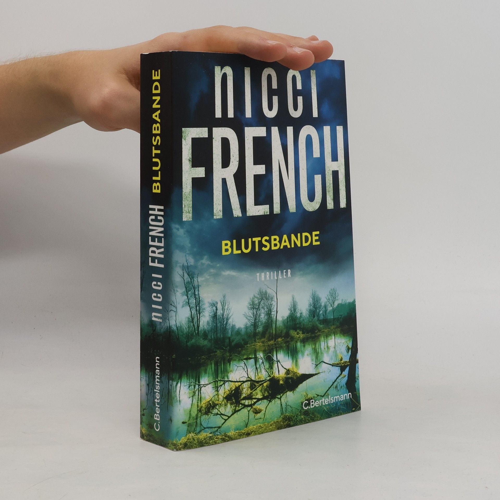Nicci French Blutsbande