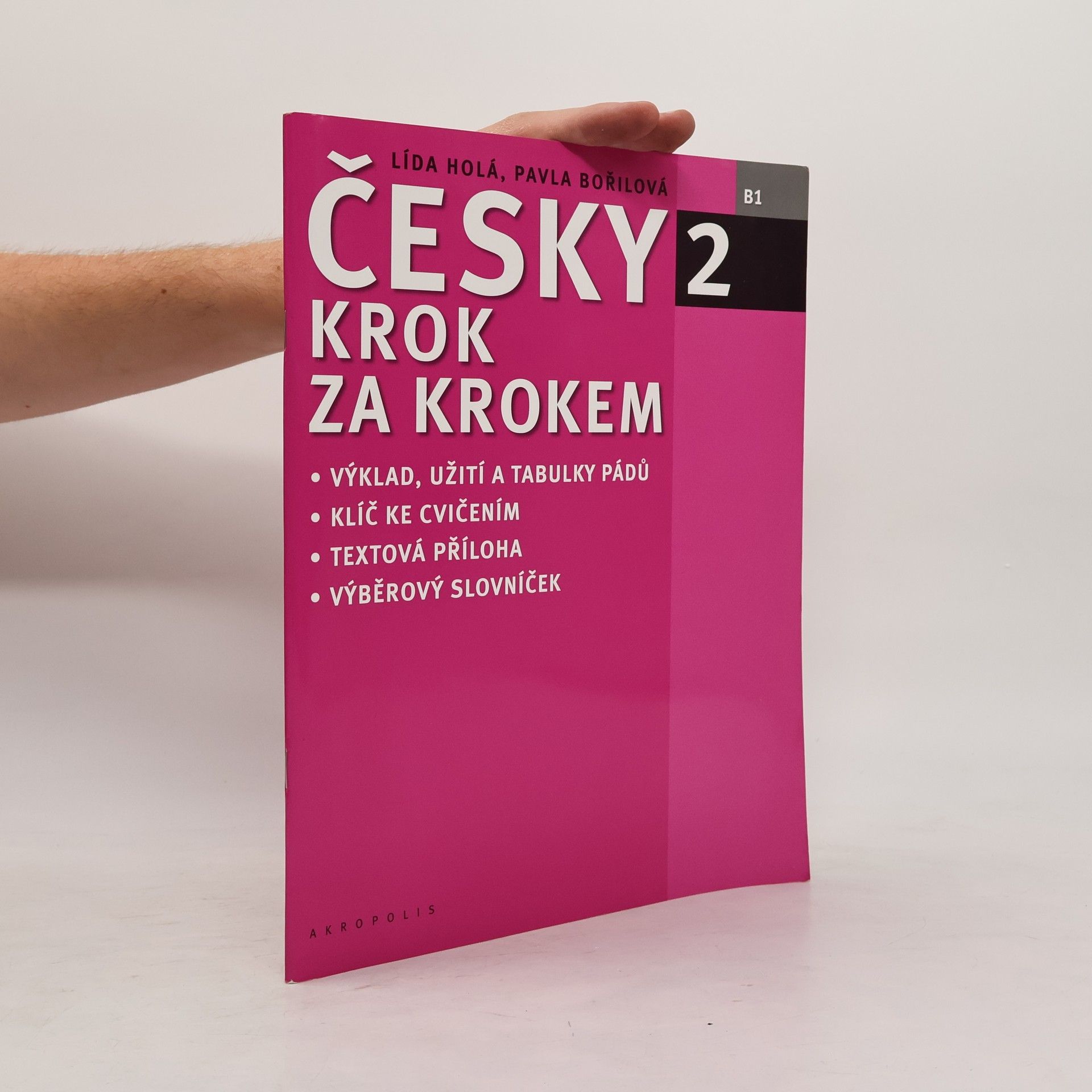 Lída Holá Česky krok za krokem 2. B1 (Příloha)