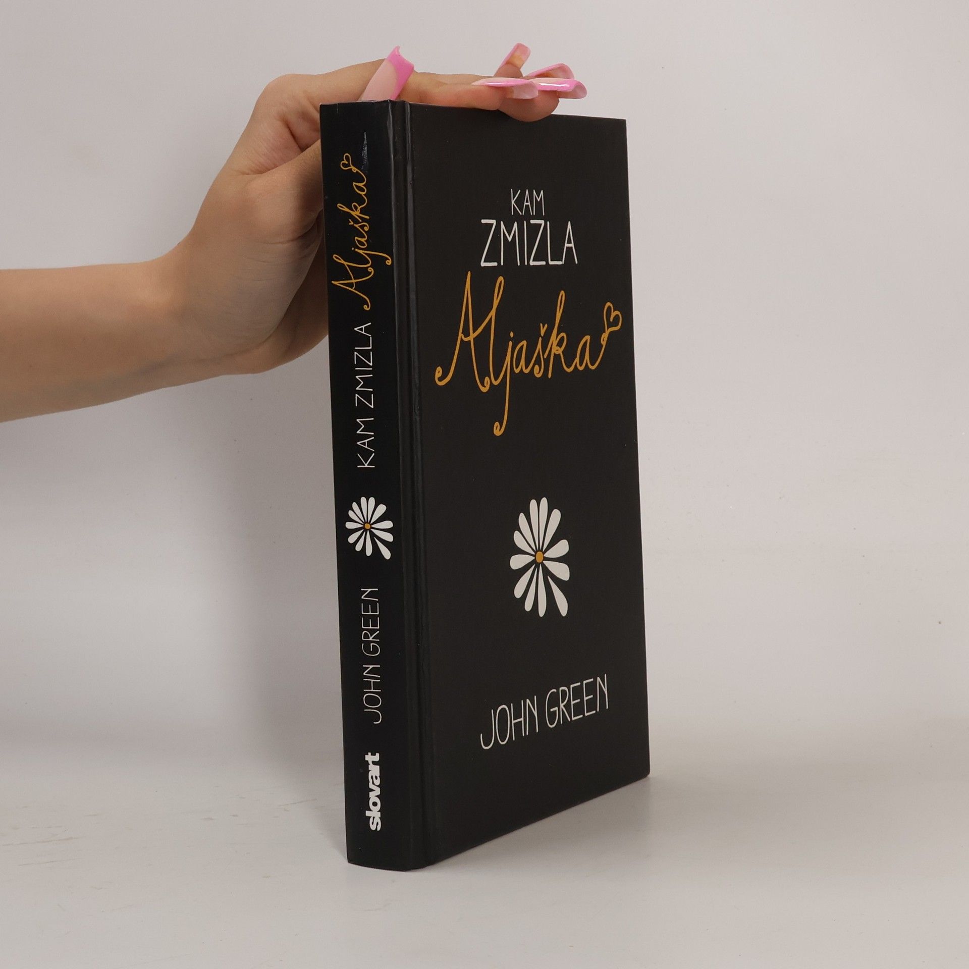 John Green Kam zmizla Aljaška