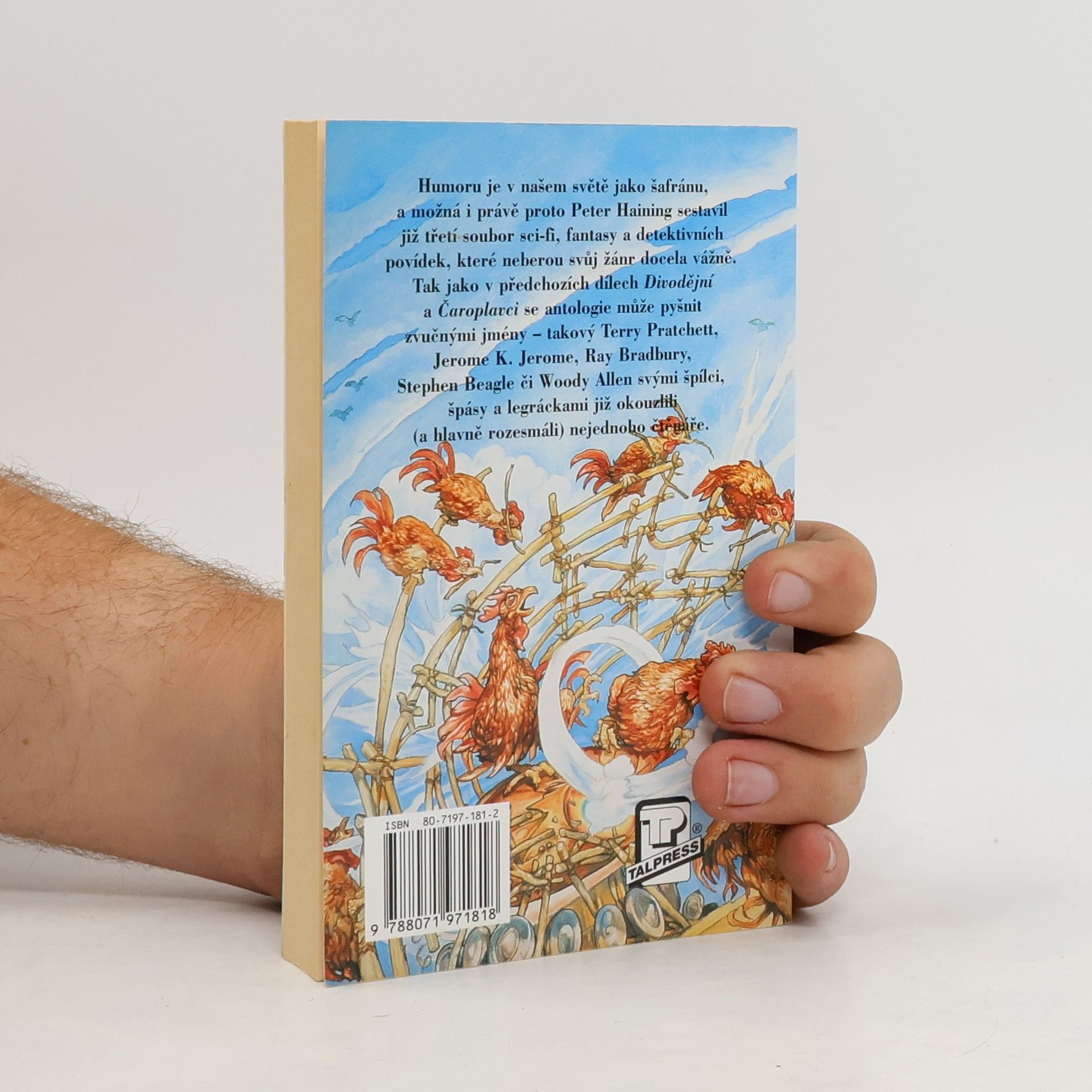 Terry Pratchett Šílení rytíři