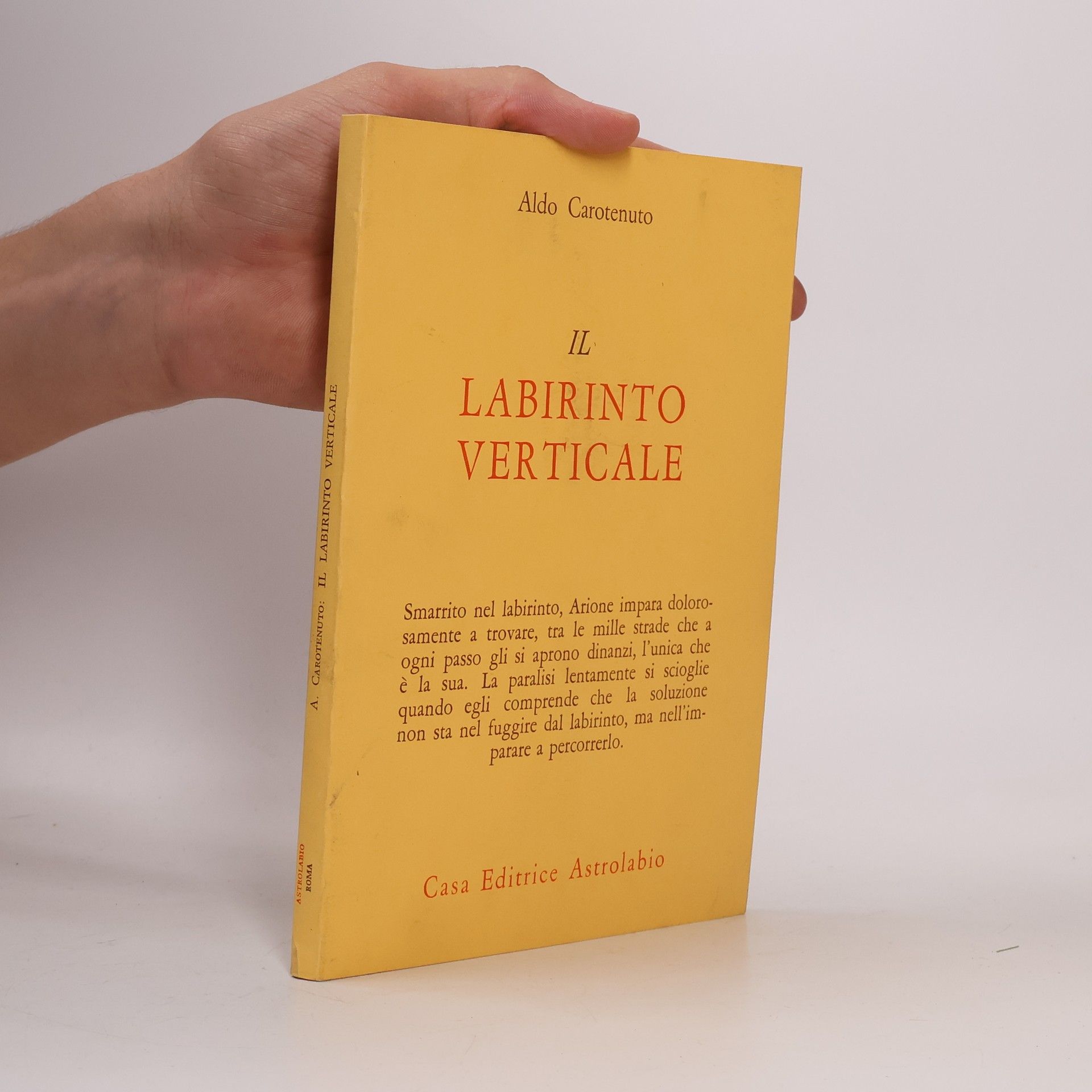 Il Labirinto Verticale