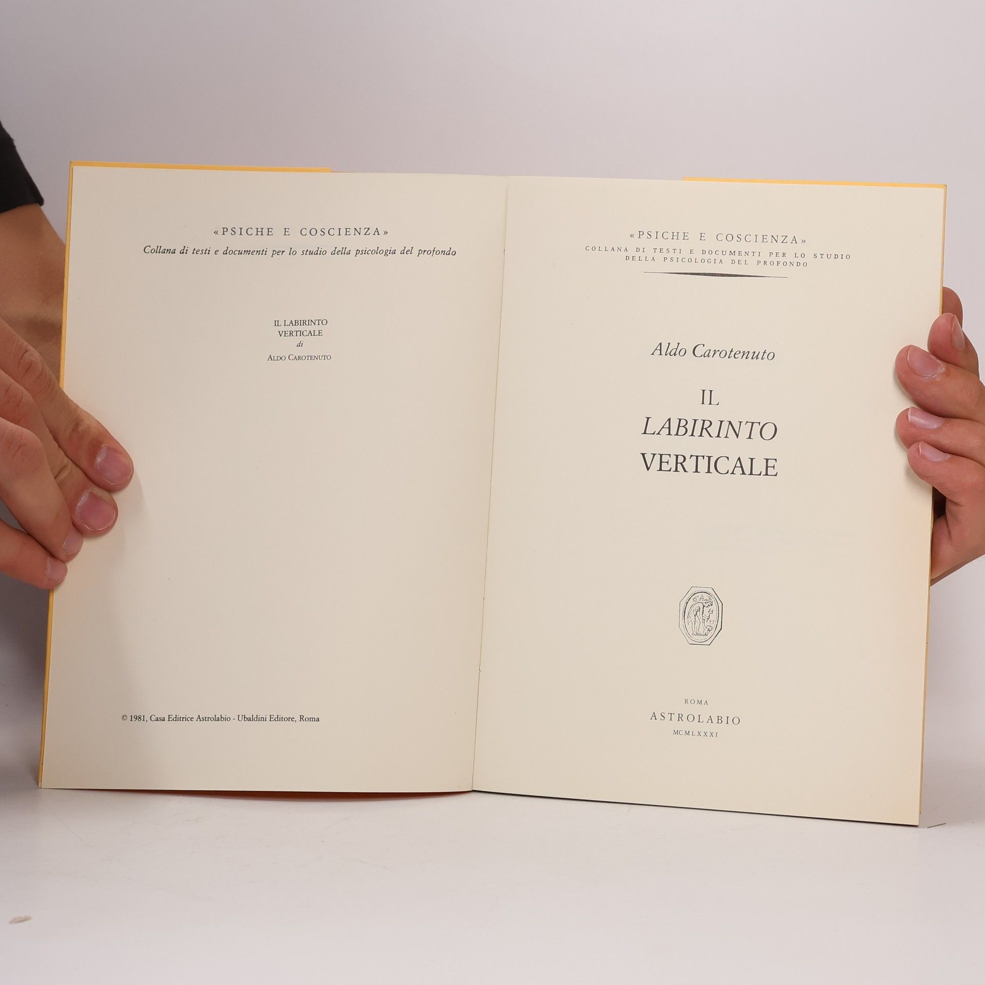 Aldo Carotenuto Il Labirinto Verticale
