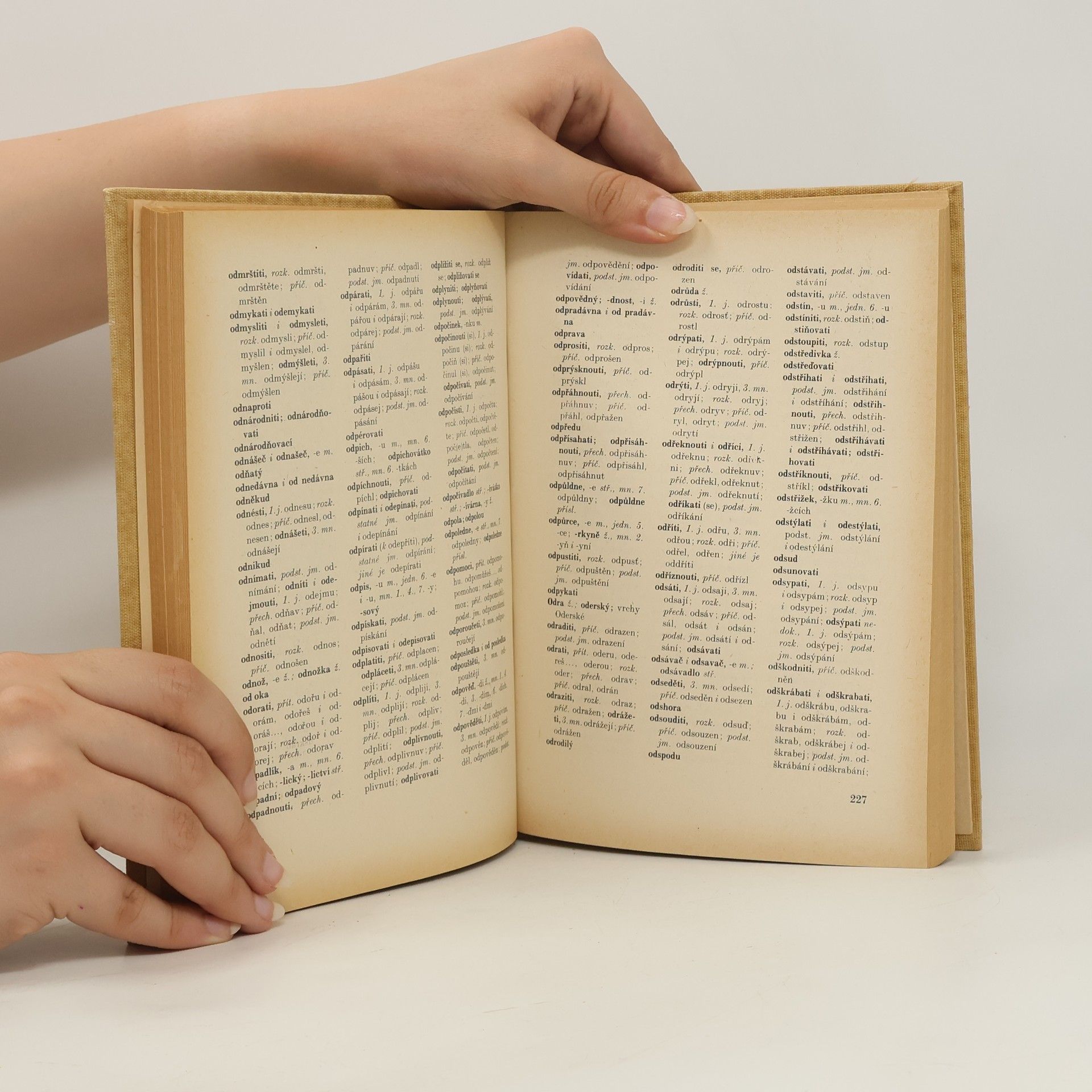 Autorenkollektiv Pravidla českého pravopisu. Školní vydání