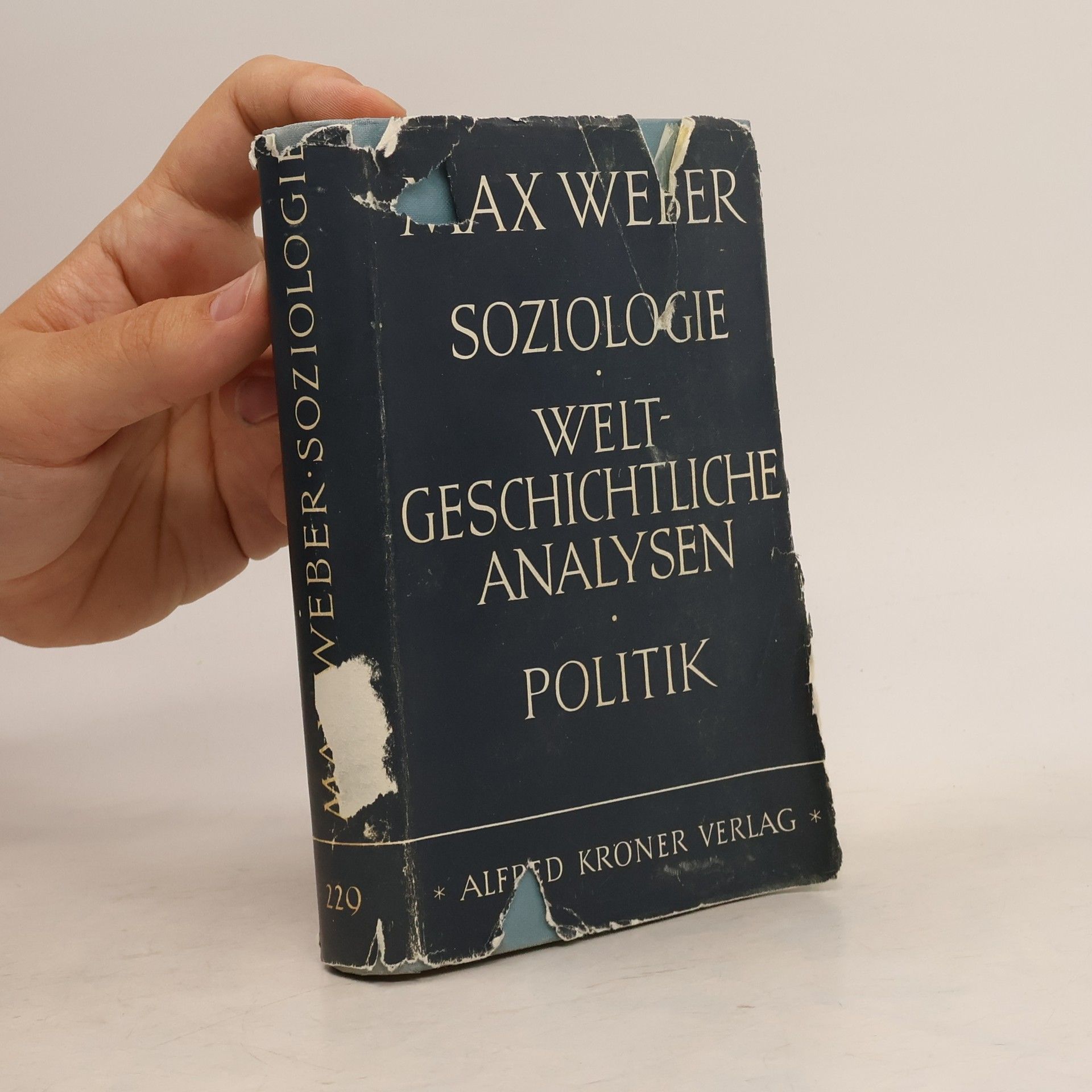 Max Weber Soziologie, Weltgeschichtliche analysen, Politik