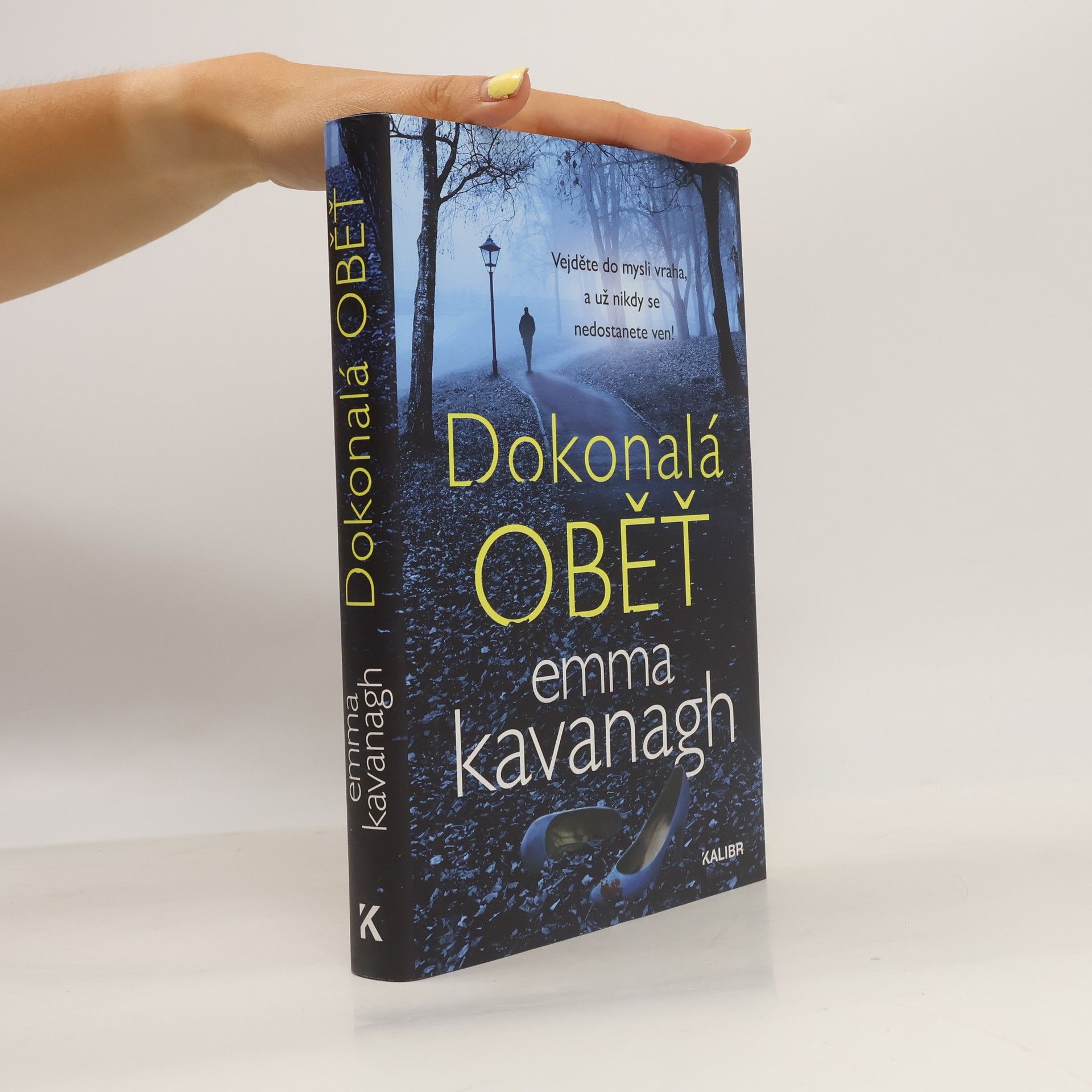 Emma Kavanagh Dokonalá oběť